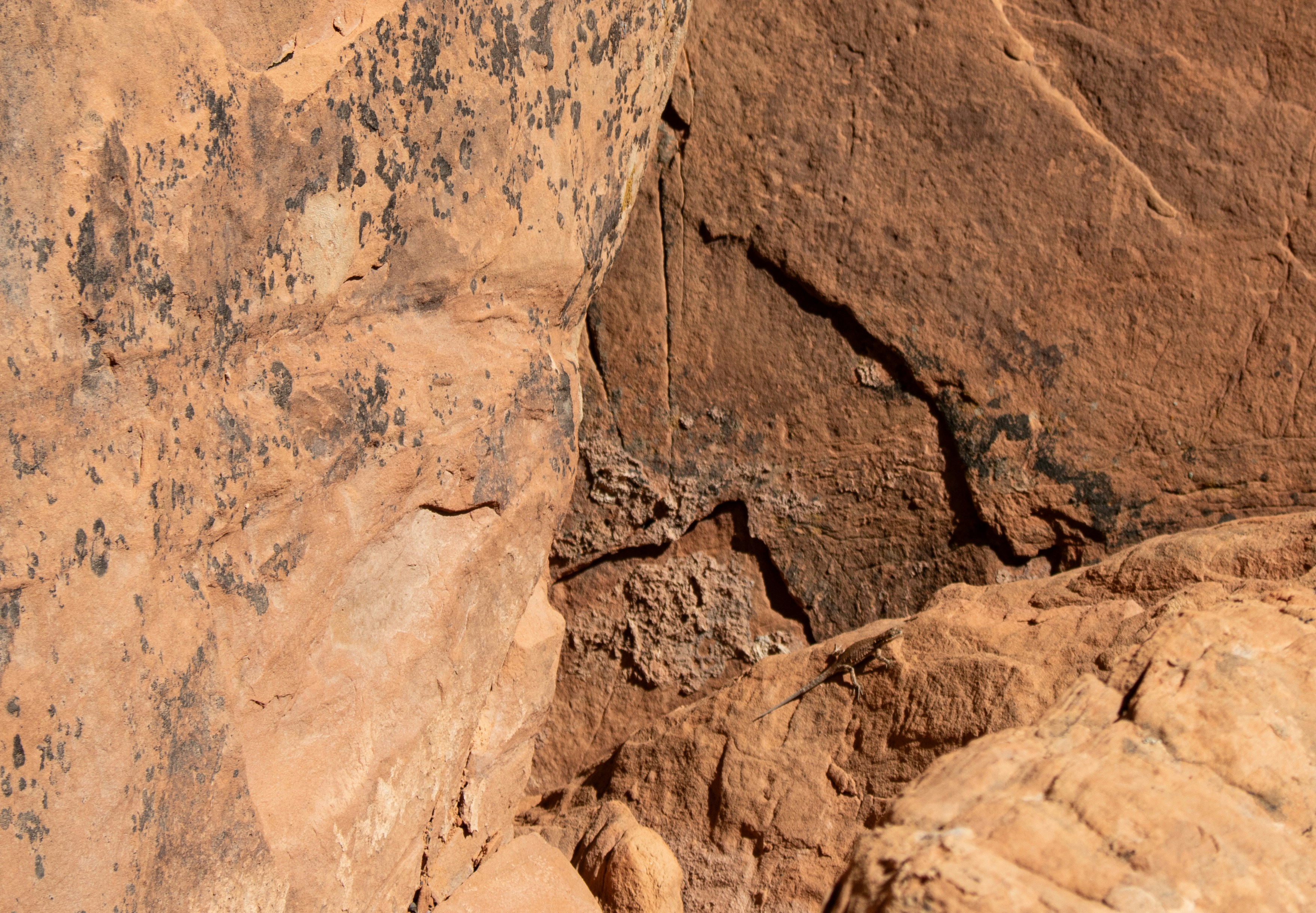 Photo by zoshuacolah