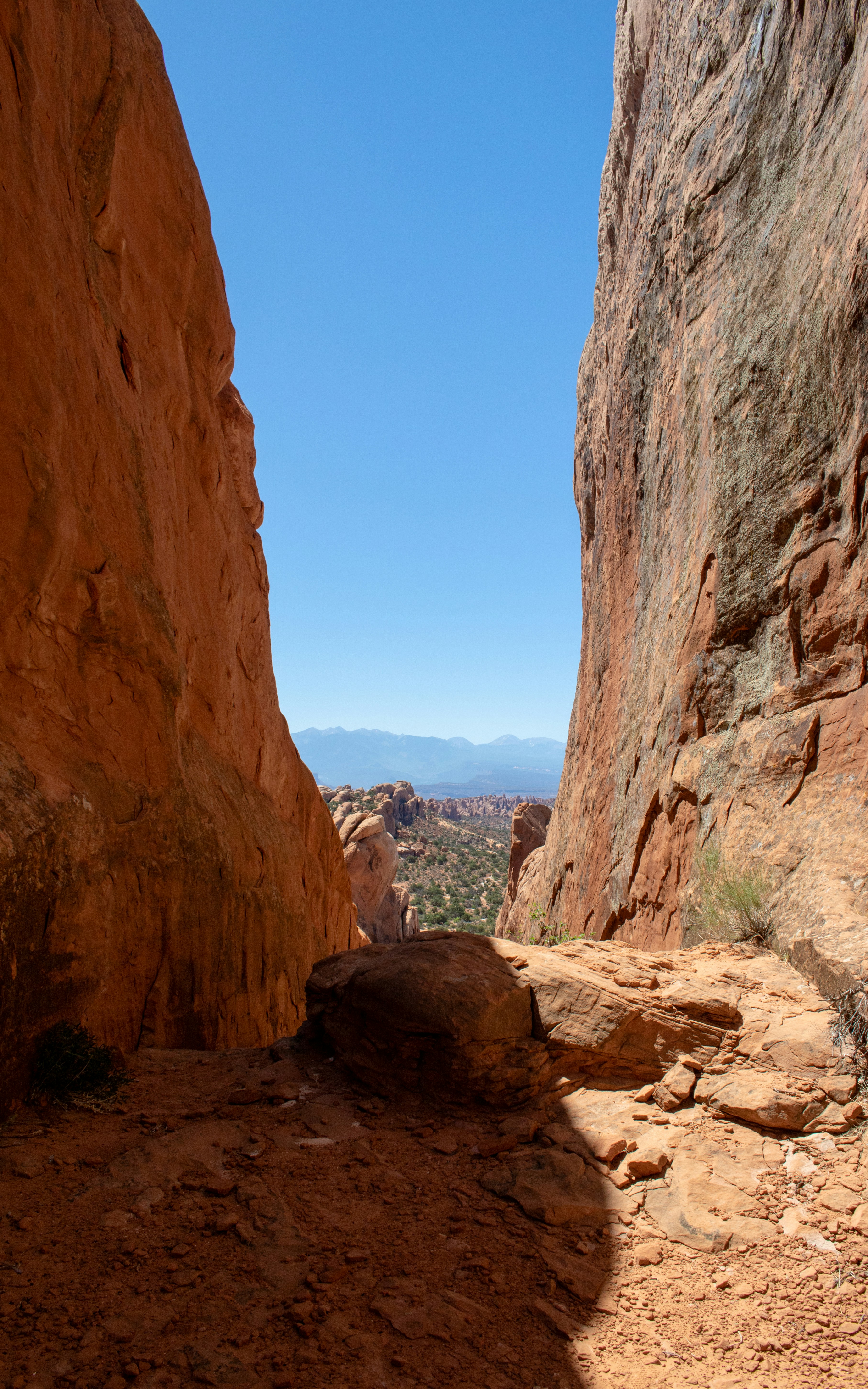 Photo by zoshuacolah