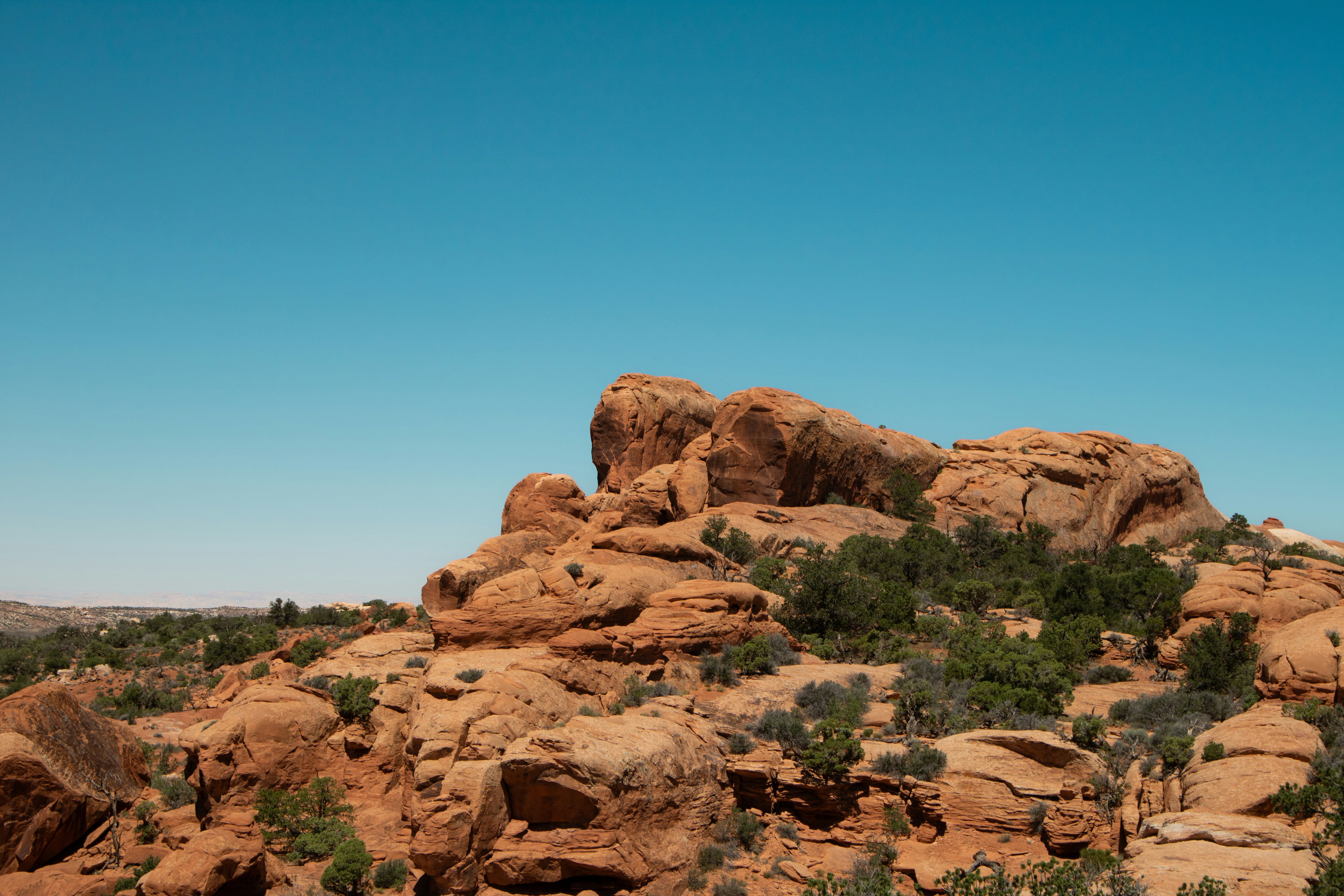 Photo by zoshuacolah