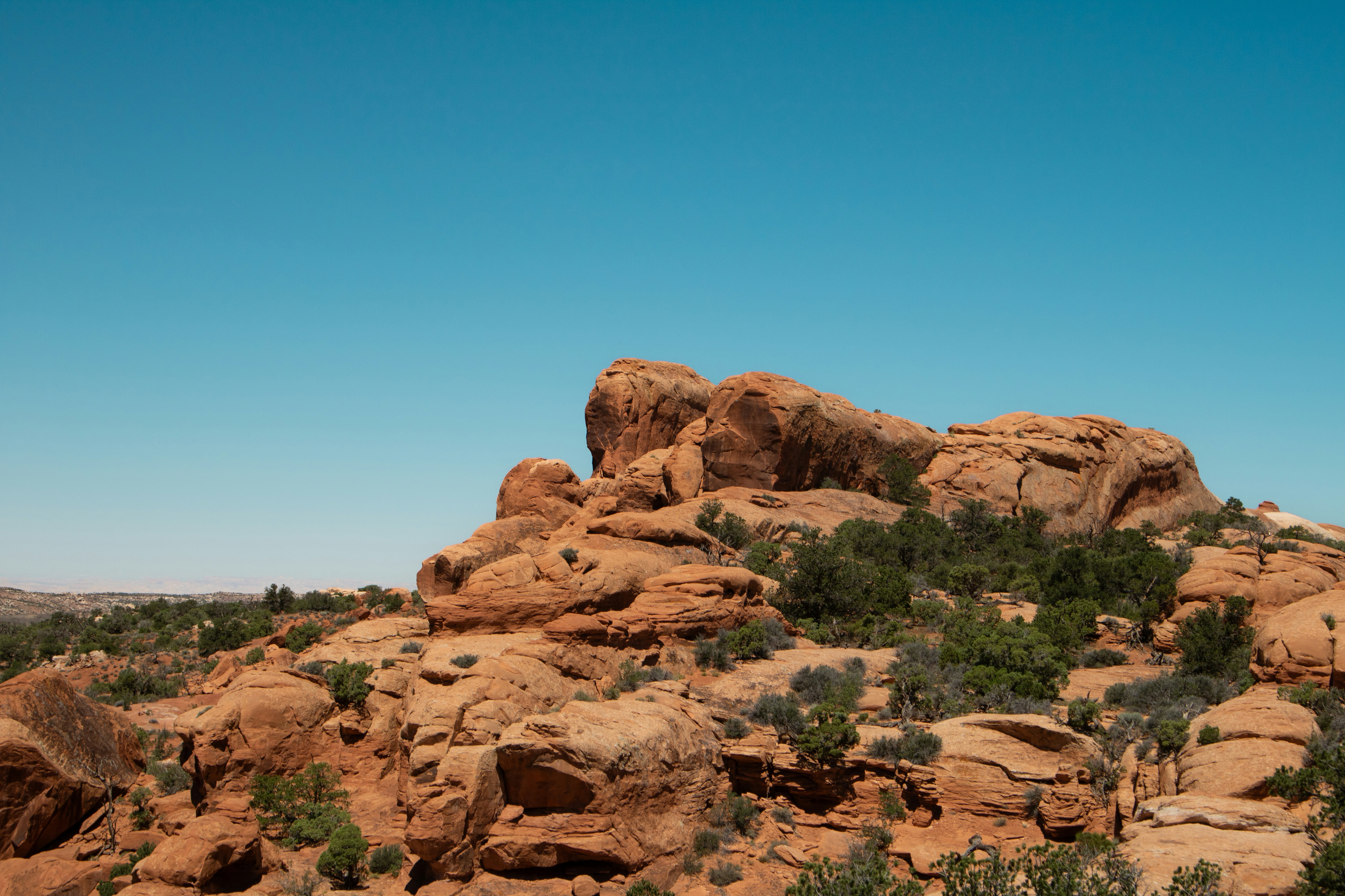 Photo by zoshuacolah