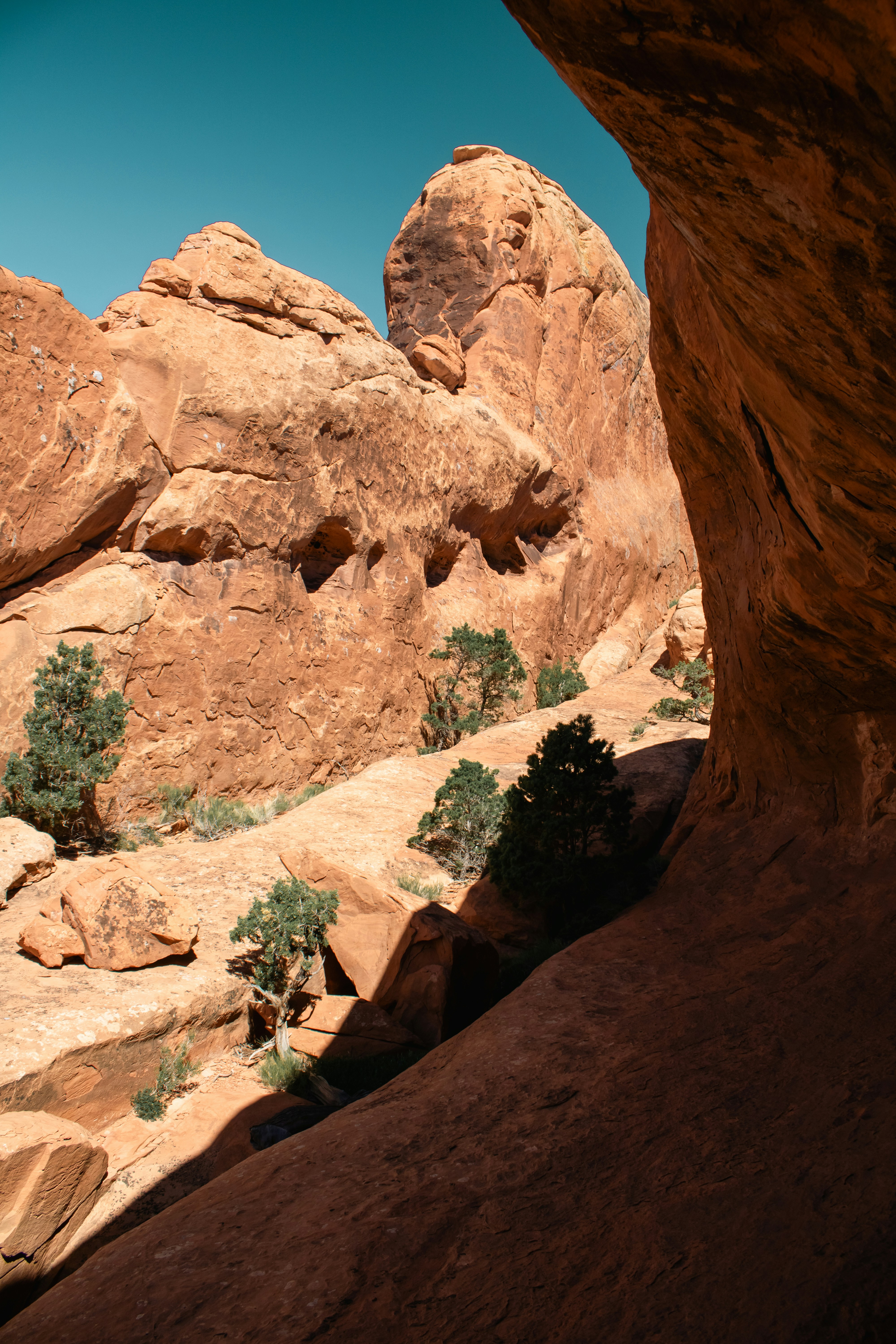 Photo by zoshuacolah