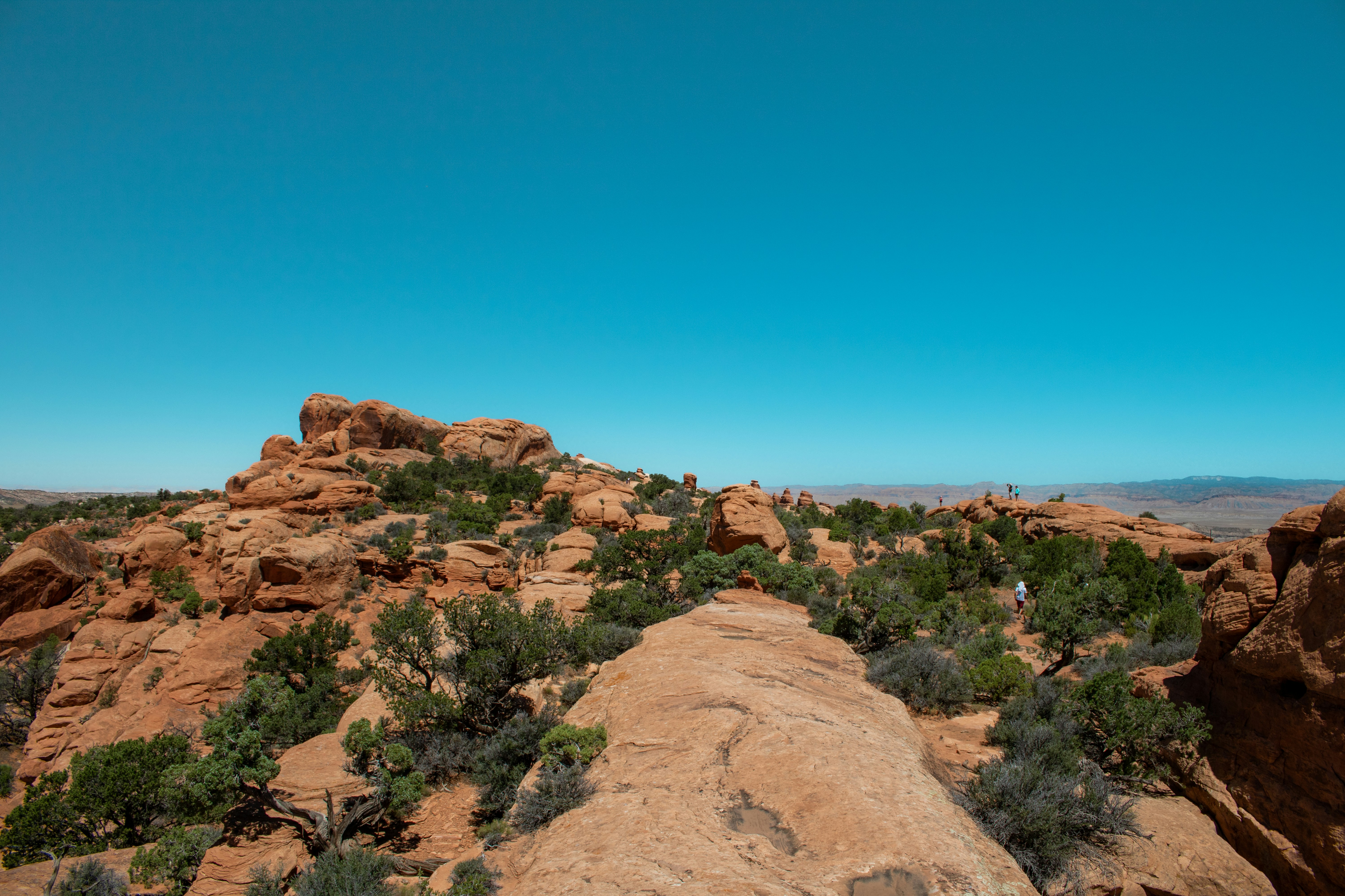 Photo by zoshuacolah