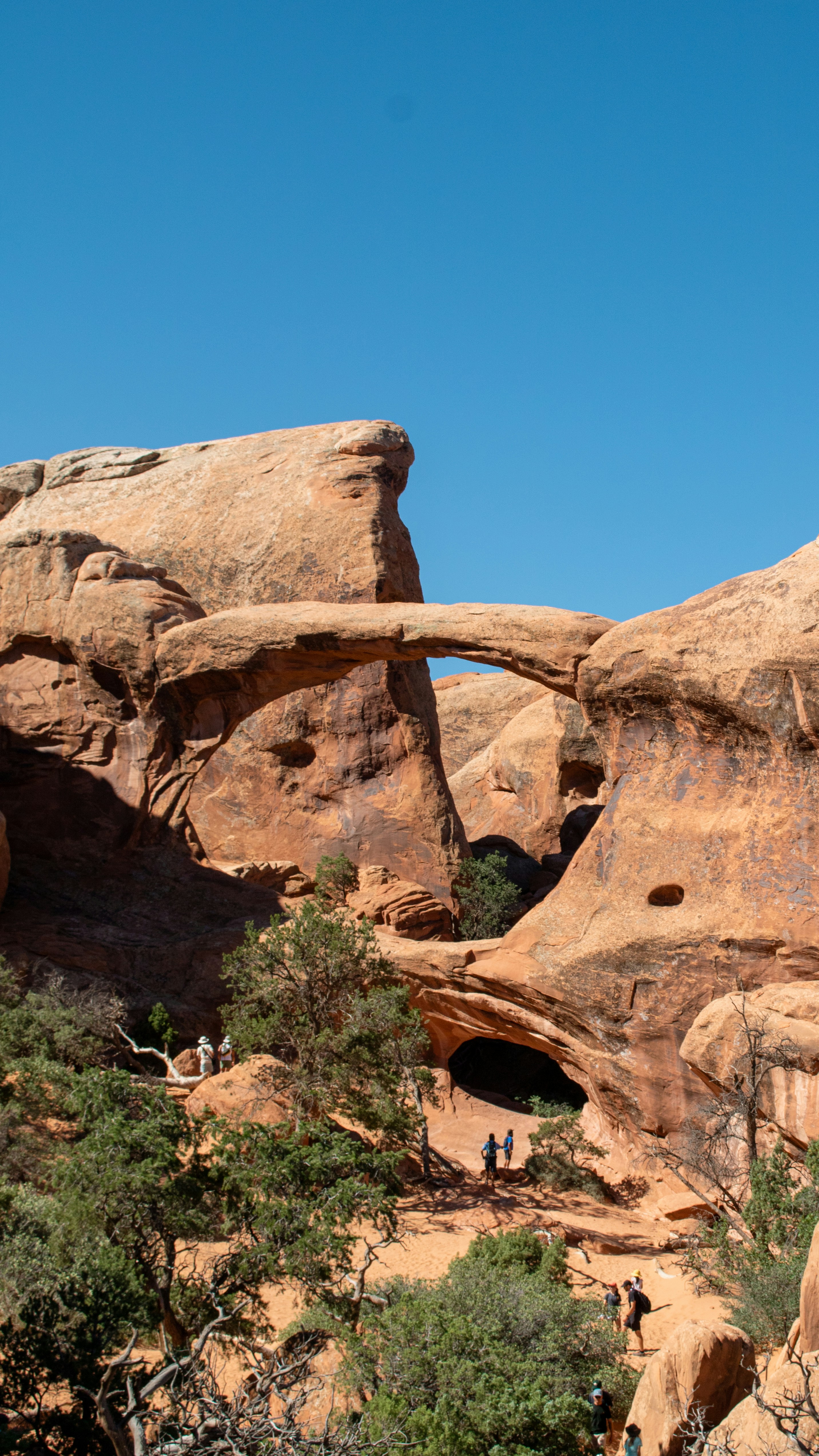 Photo by zoshuacolah