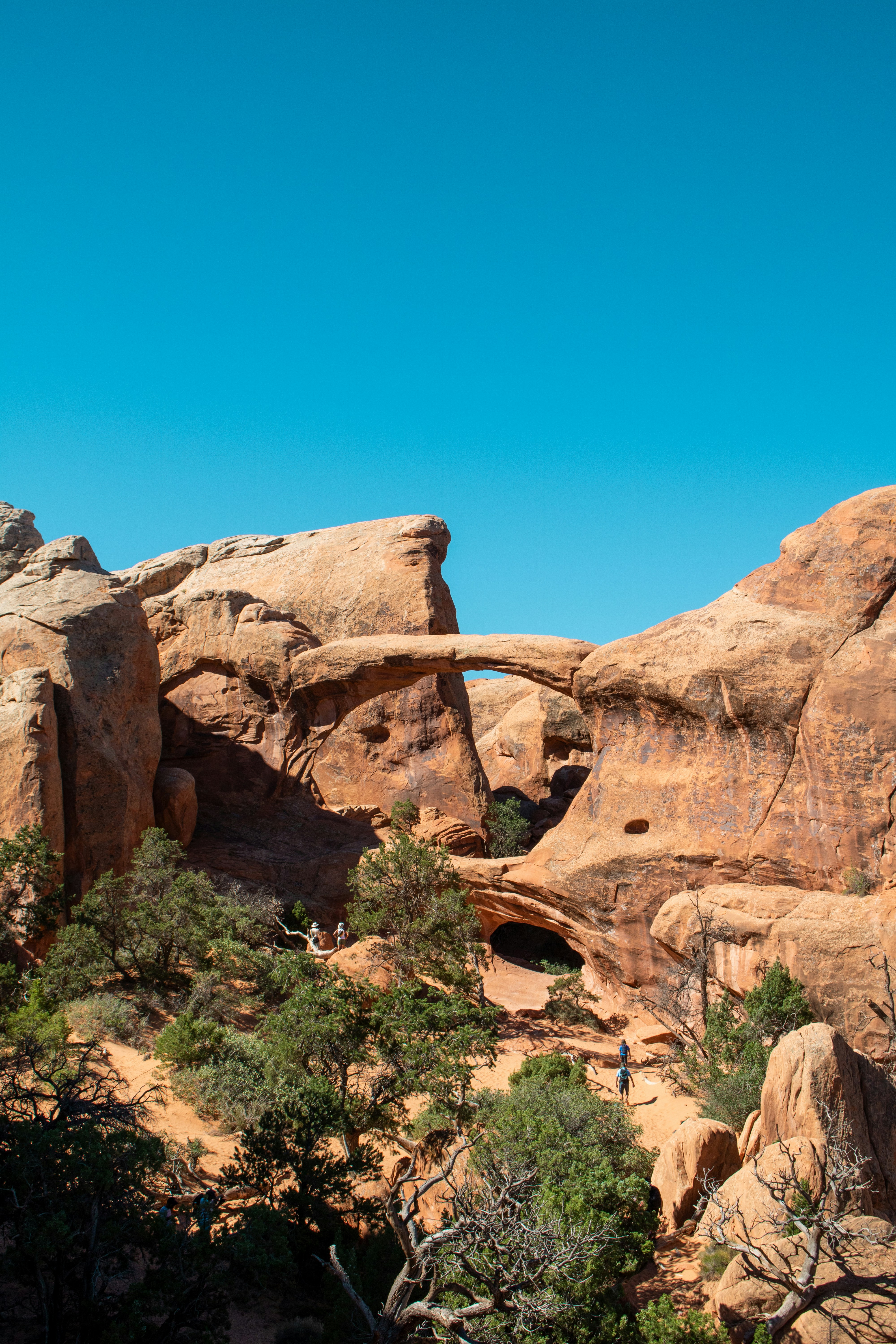 Photo by zoshuacolah