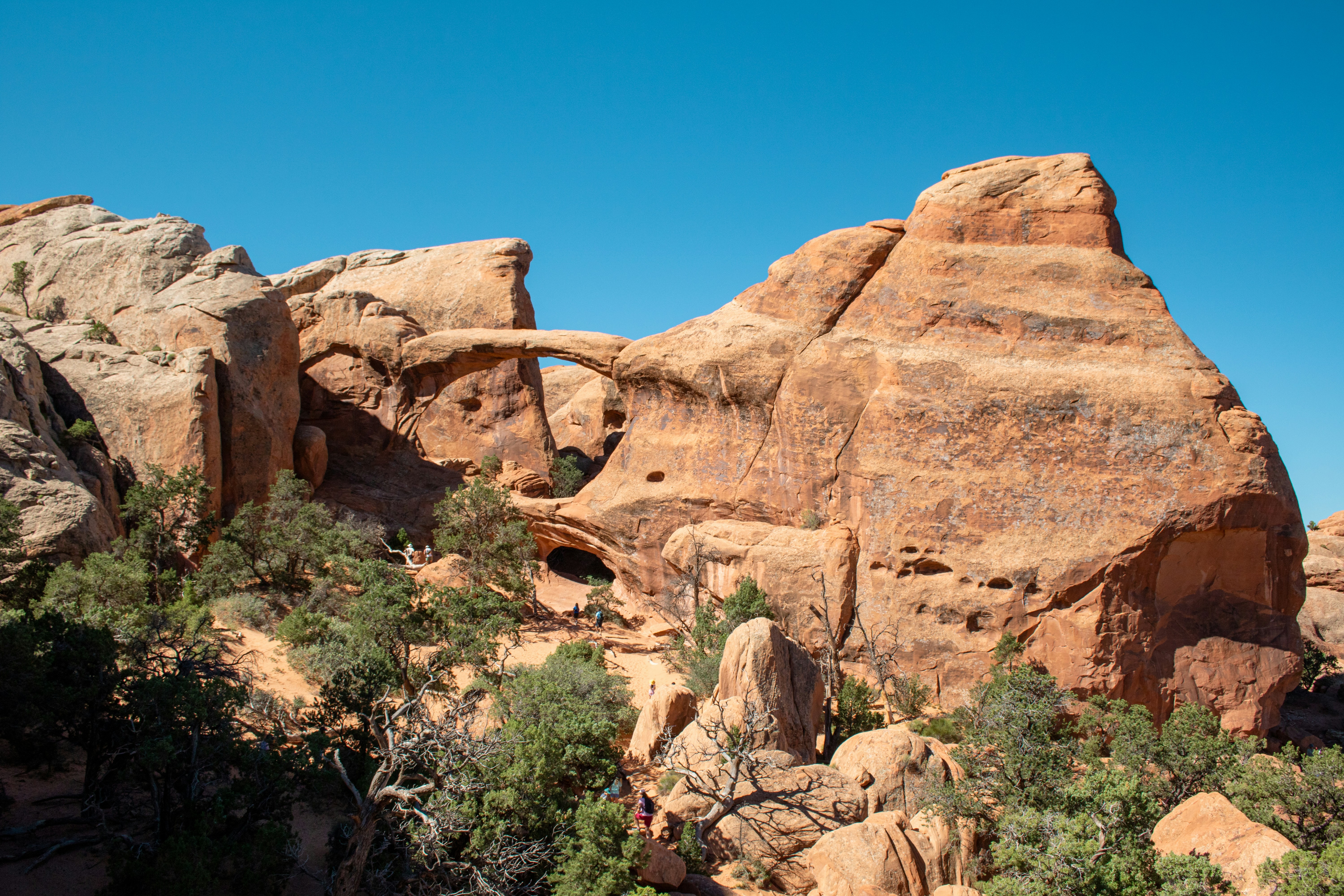 Photo by zoshuacolah