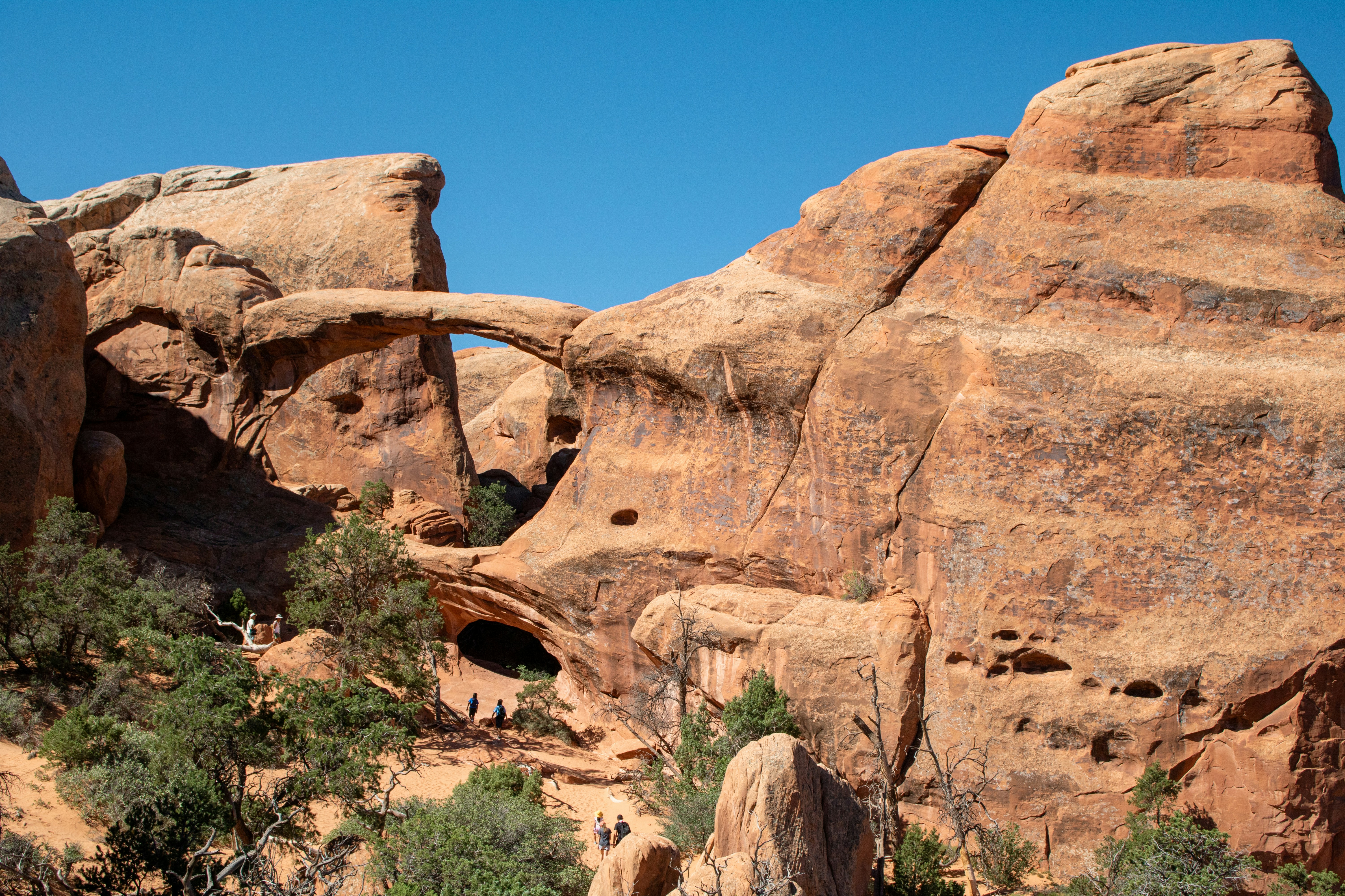 Photo by zoshuacolah