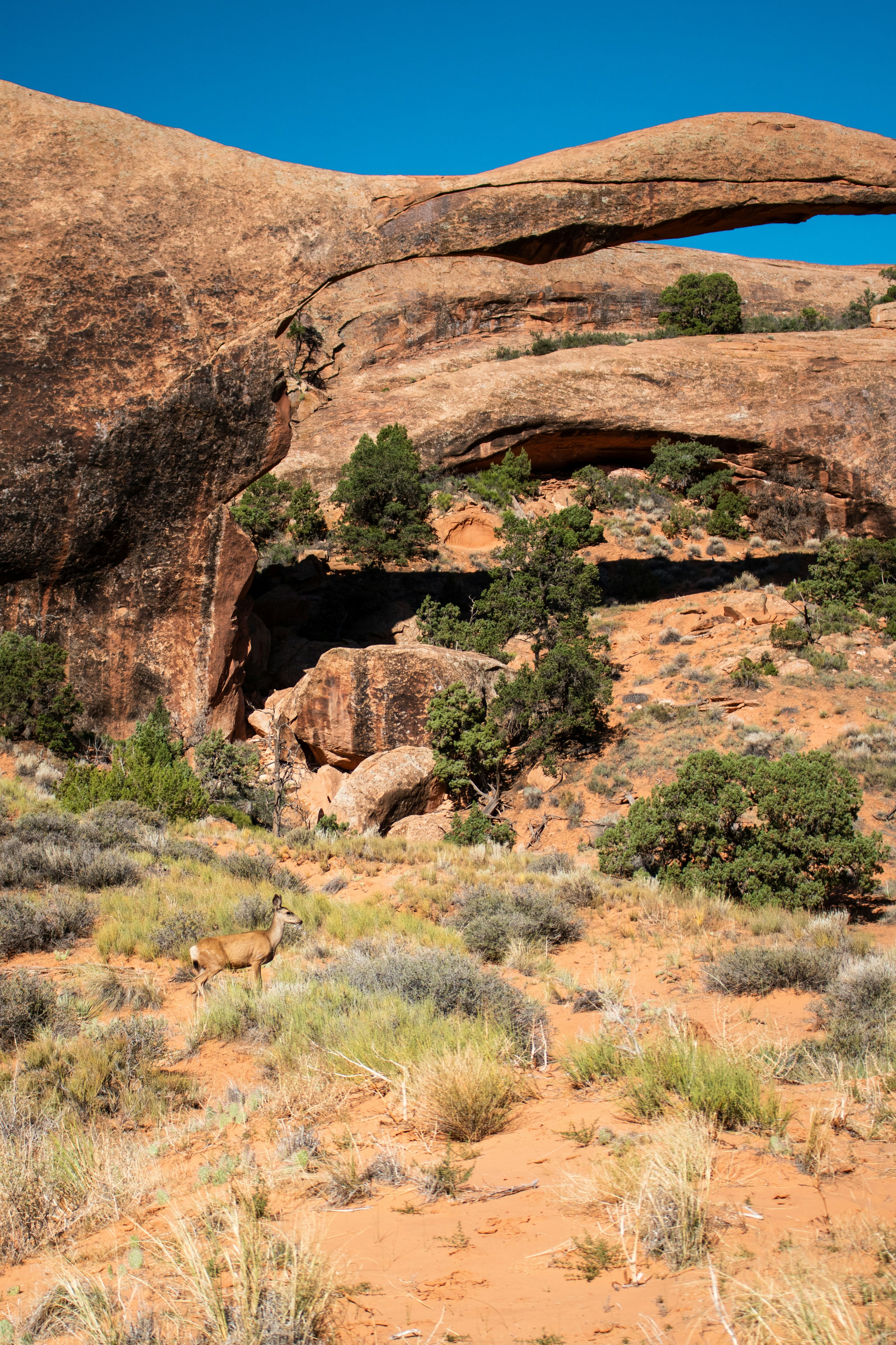 Photo by zoshuacolah