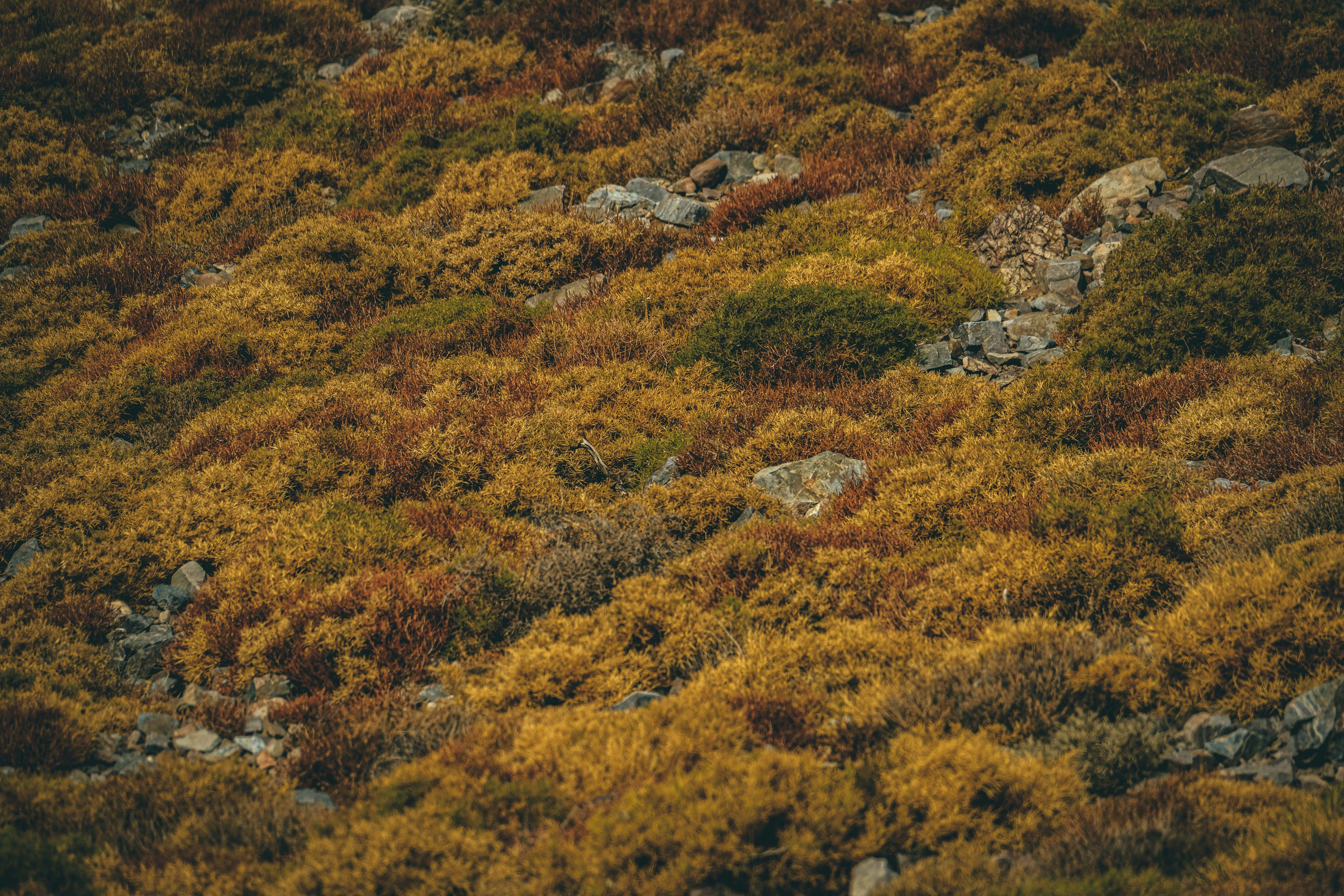 Photo by francesco_ungaro