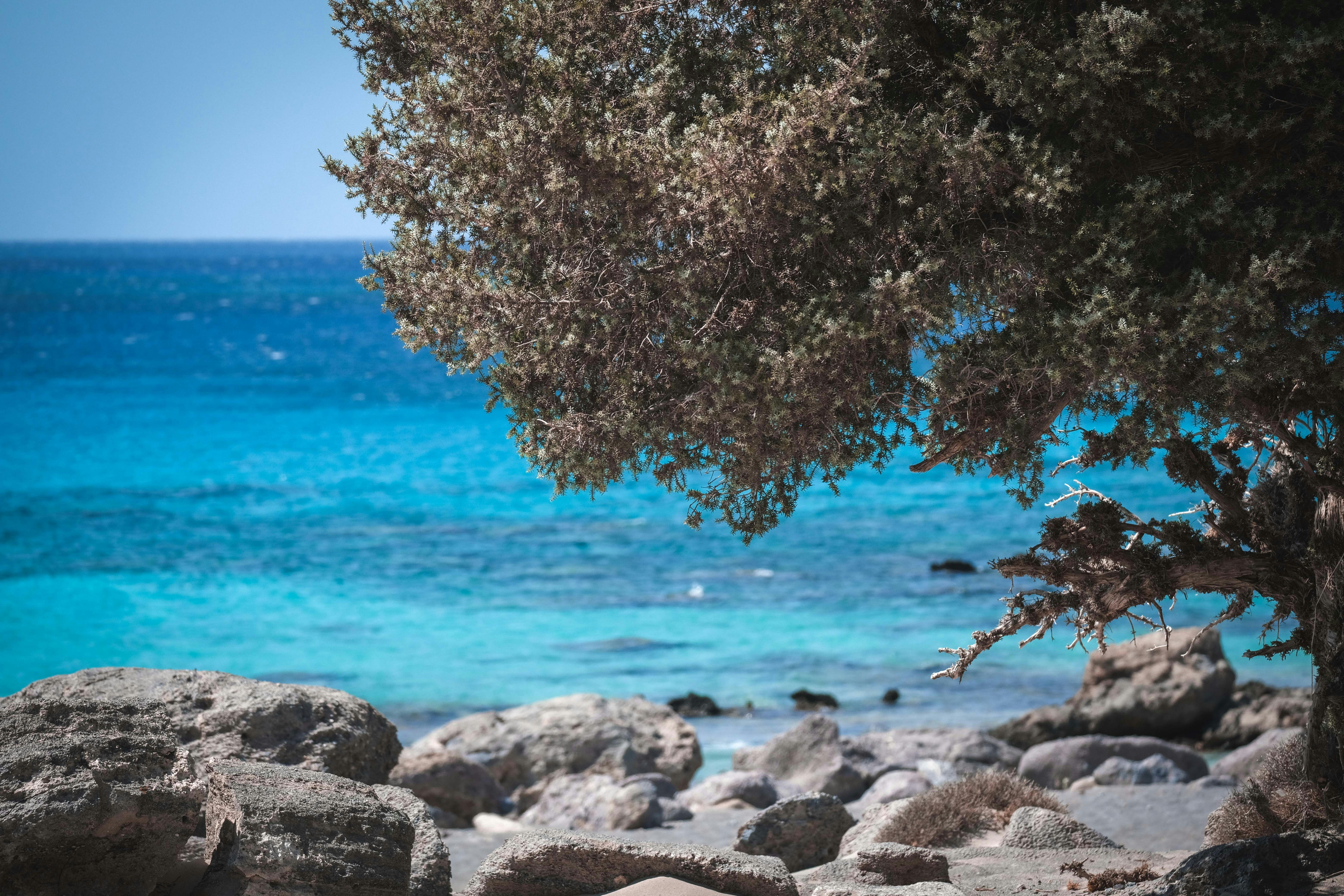 Photo by francesco_ungaro