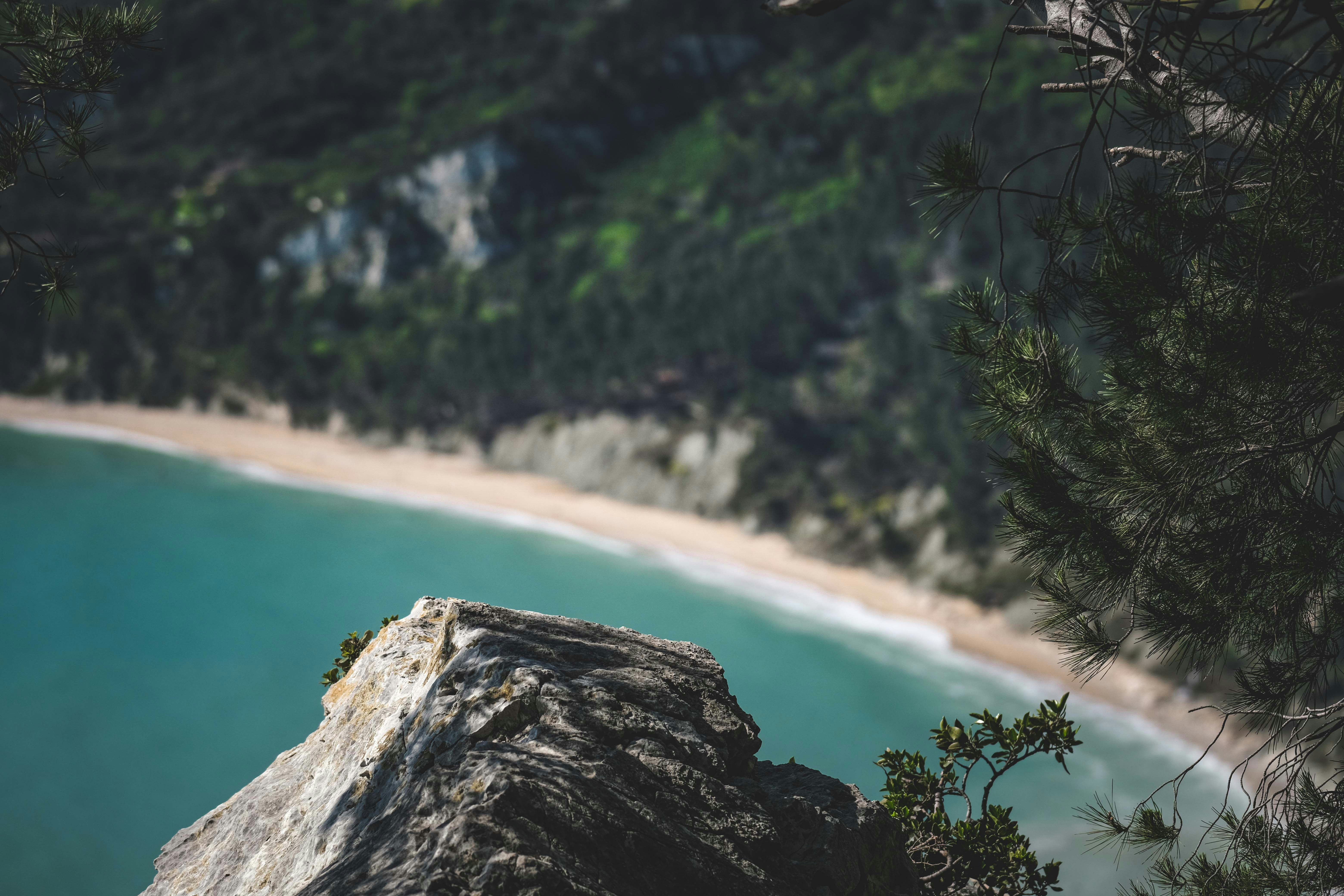 Photo by francesco_ungaro