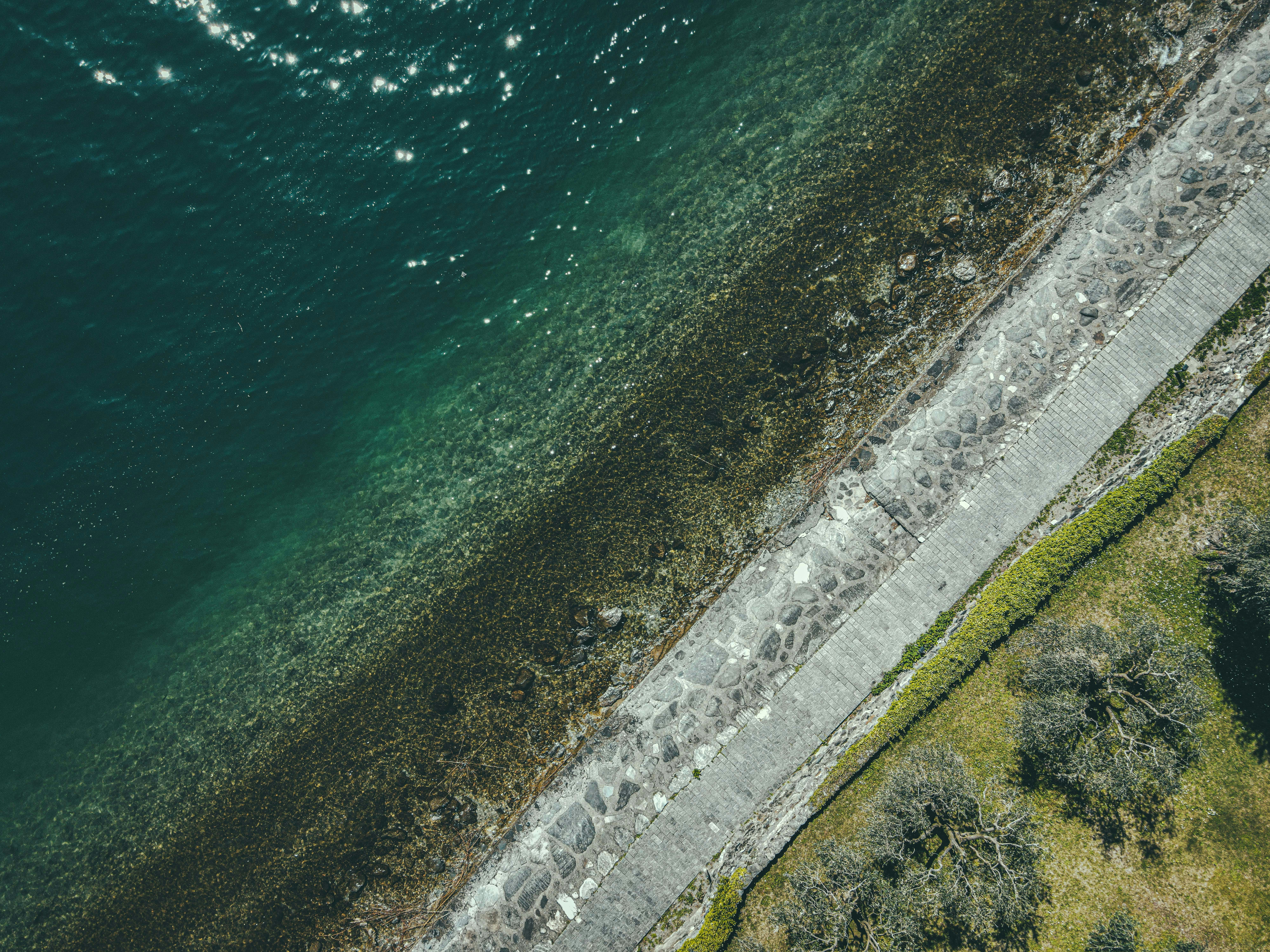 Photo by francesco_ungaro