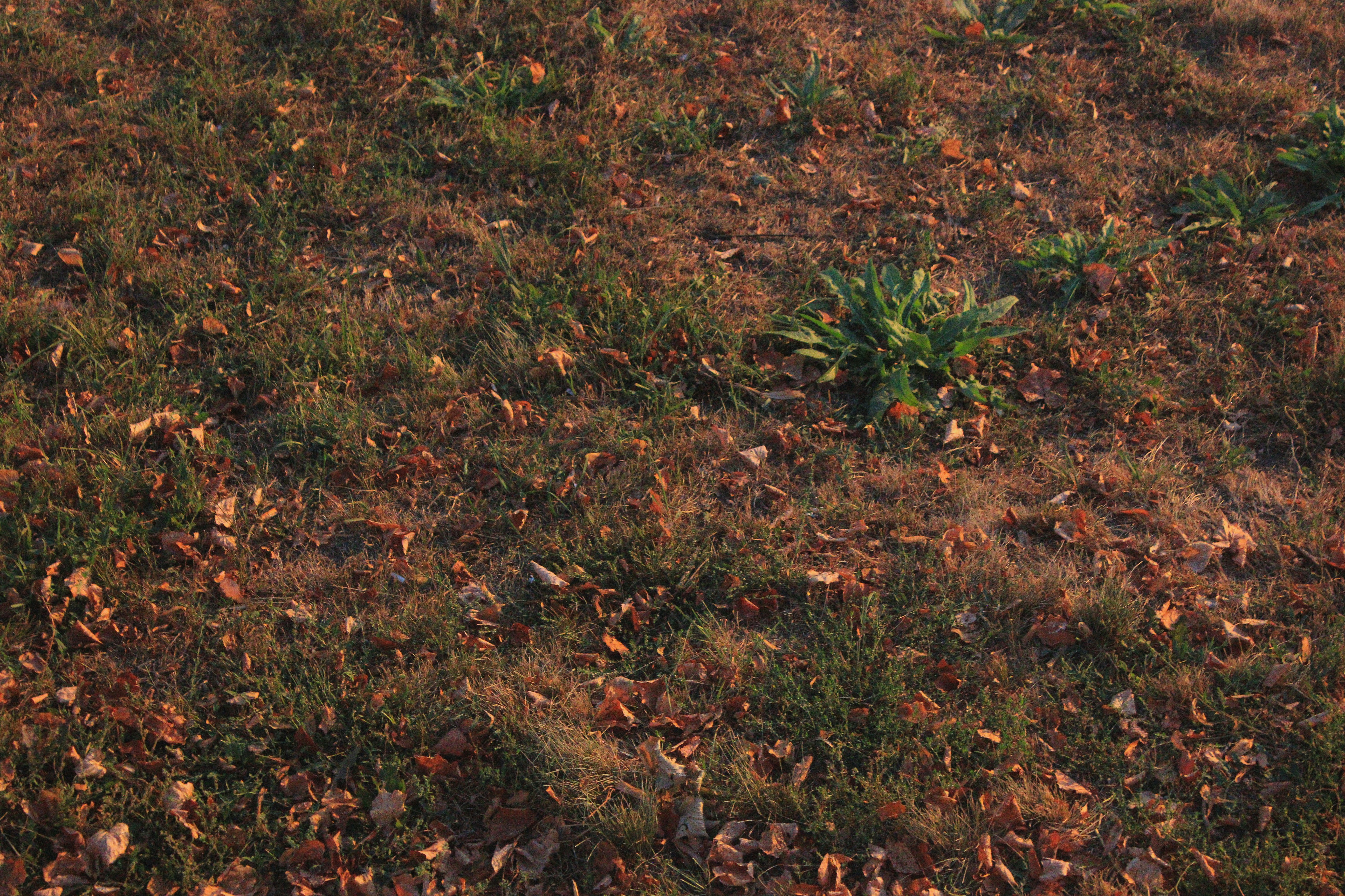 Photo by dena_skulskaya