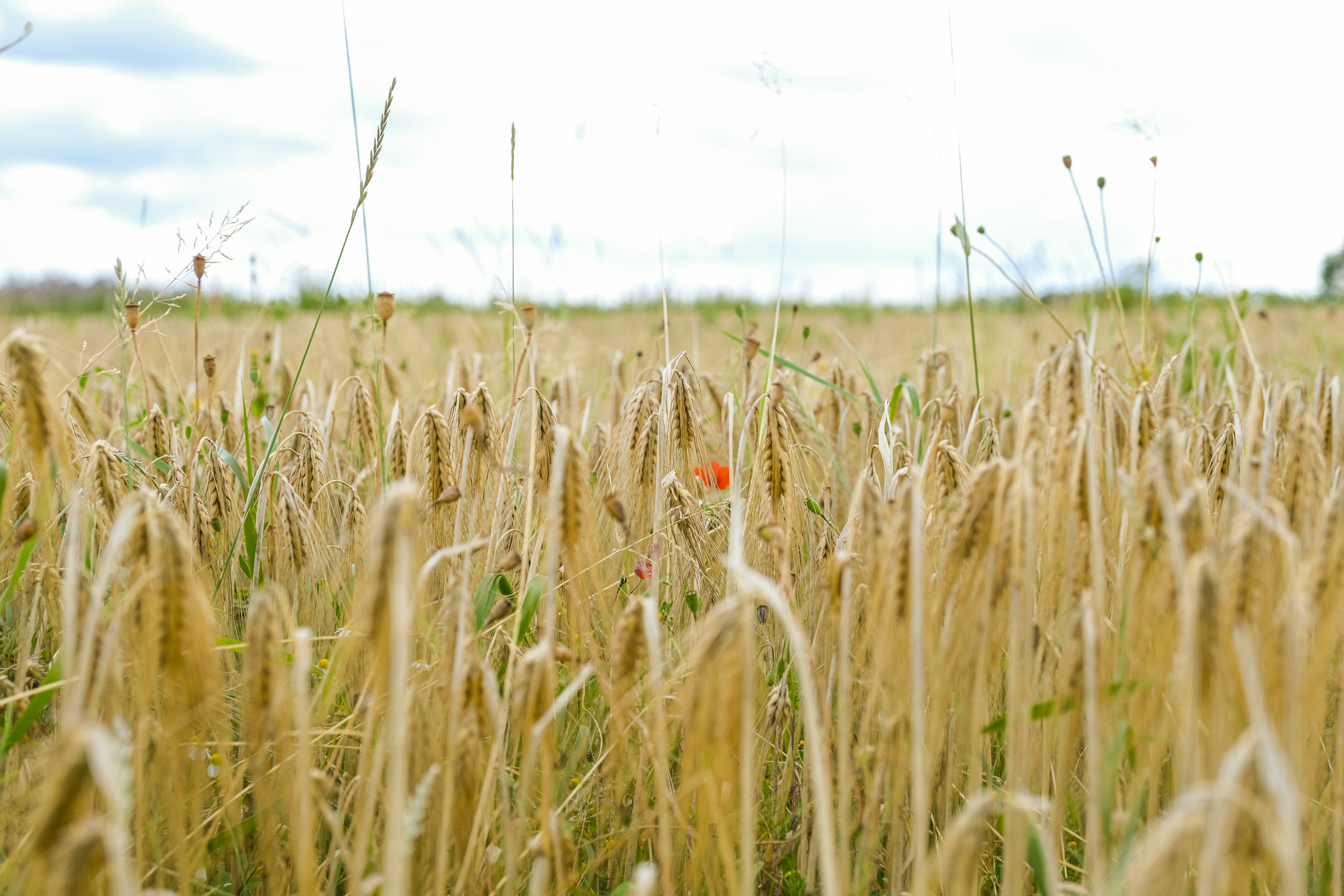 Photo by reseauwallonpac