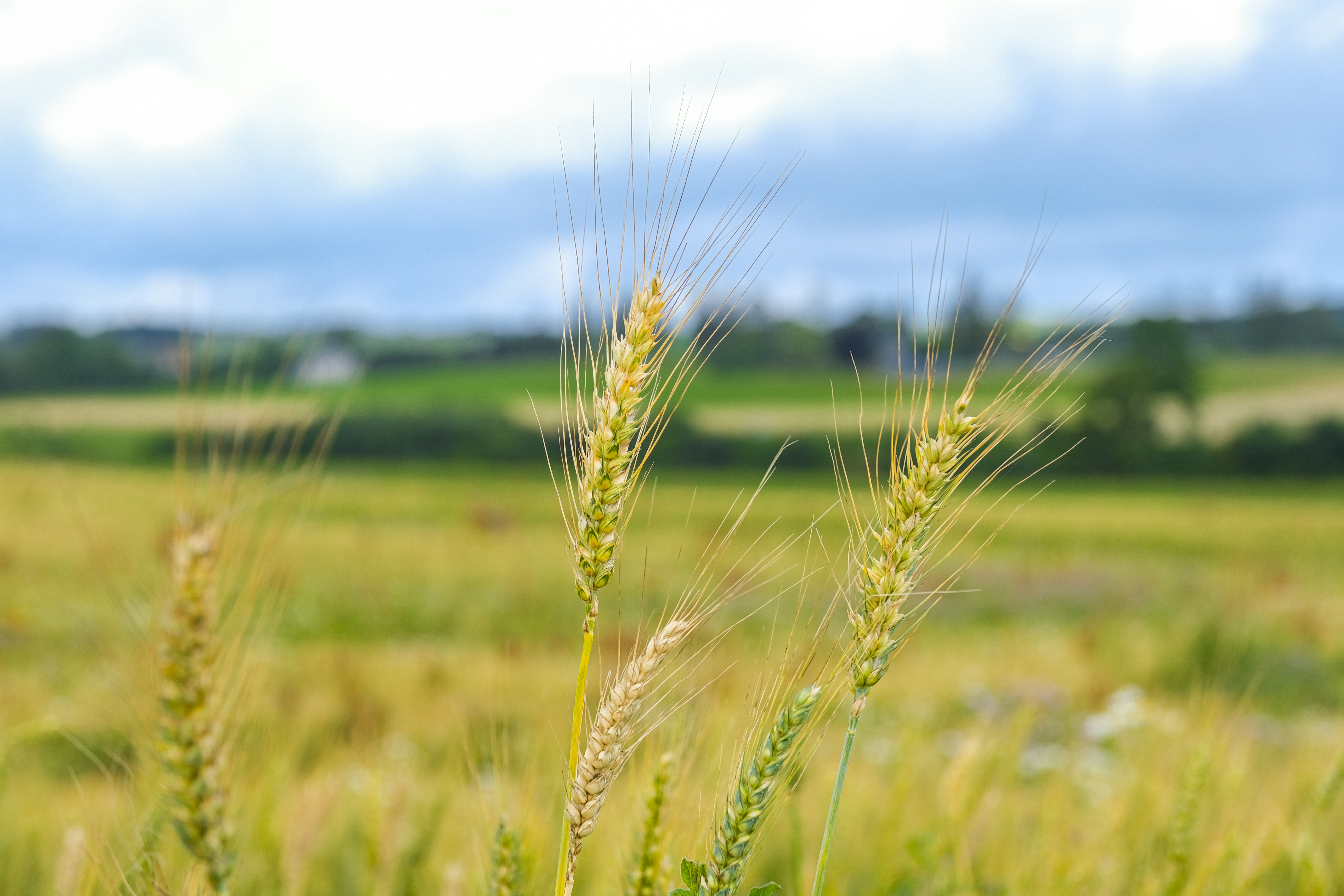 Photo by reseauwallonpac