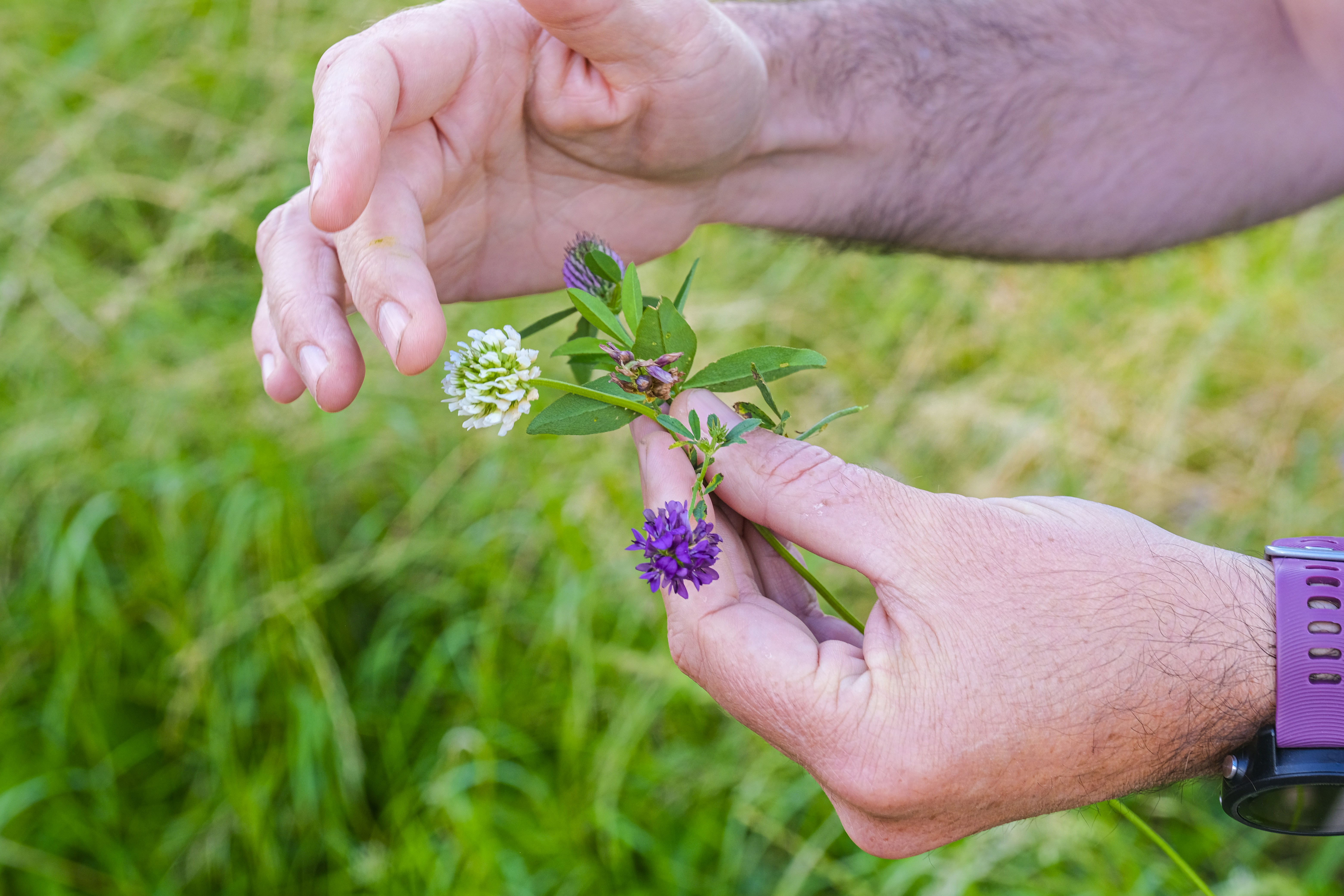 Photo by reseauwallonpac