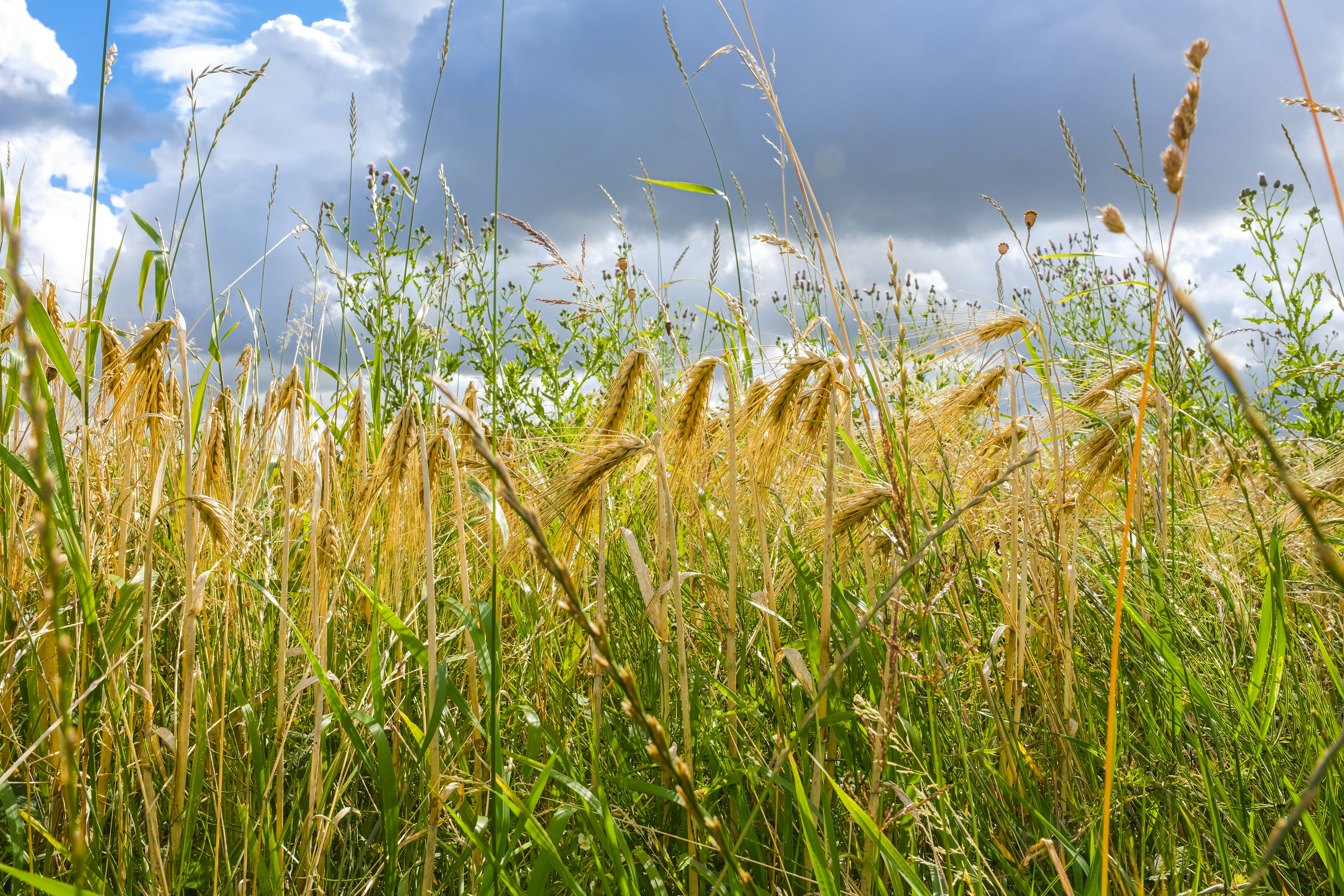 Photo by reseauwallonpac