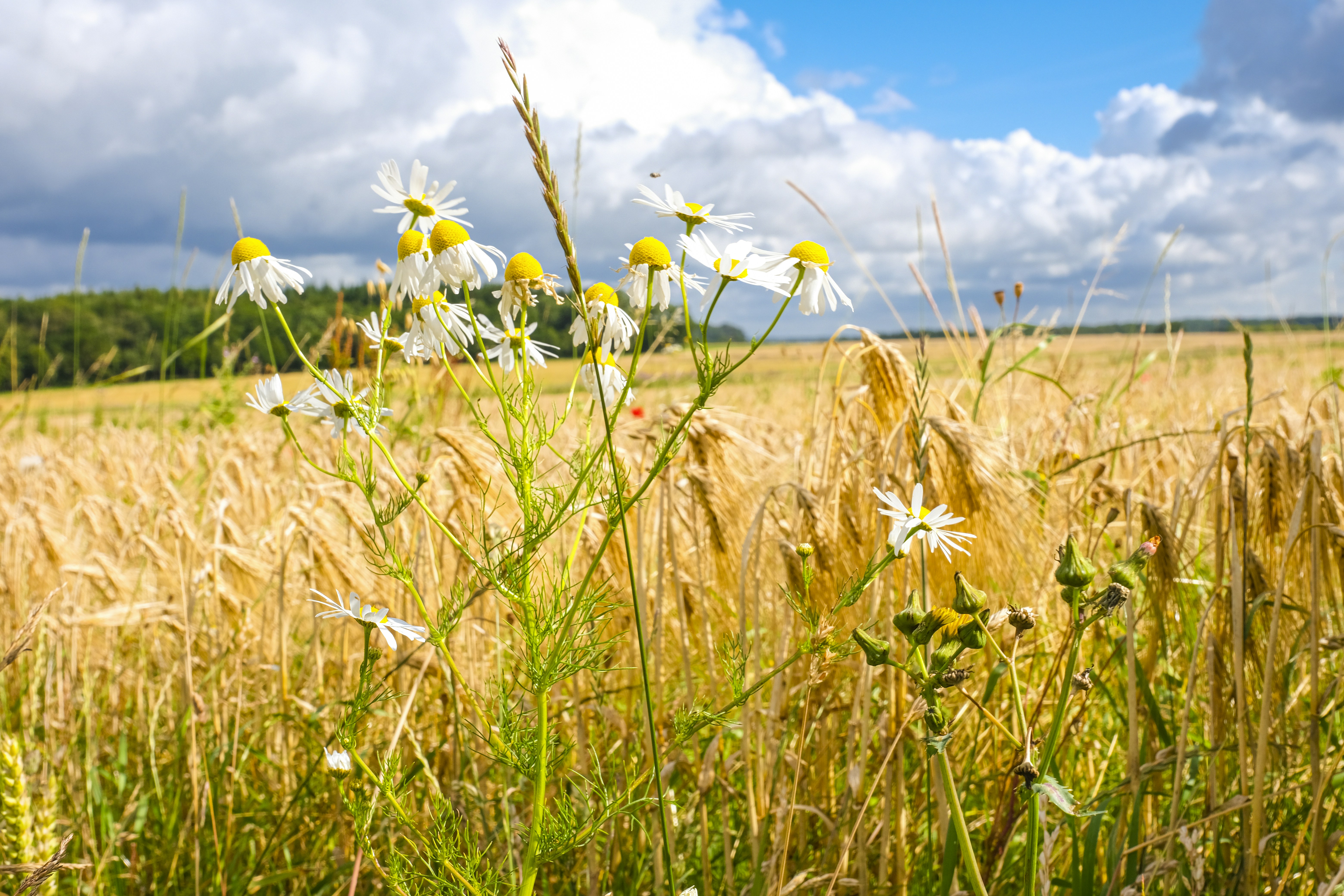 Photo by reseauwallonpac