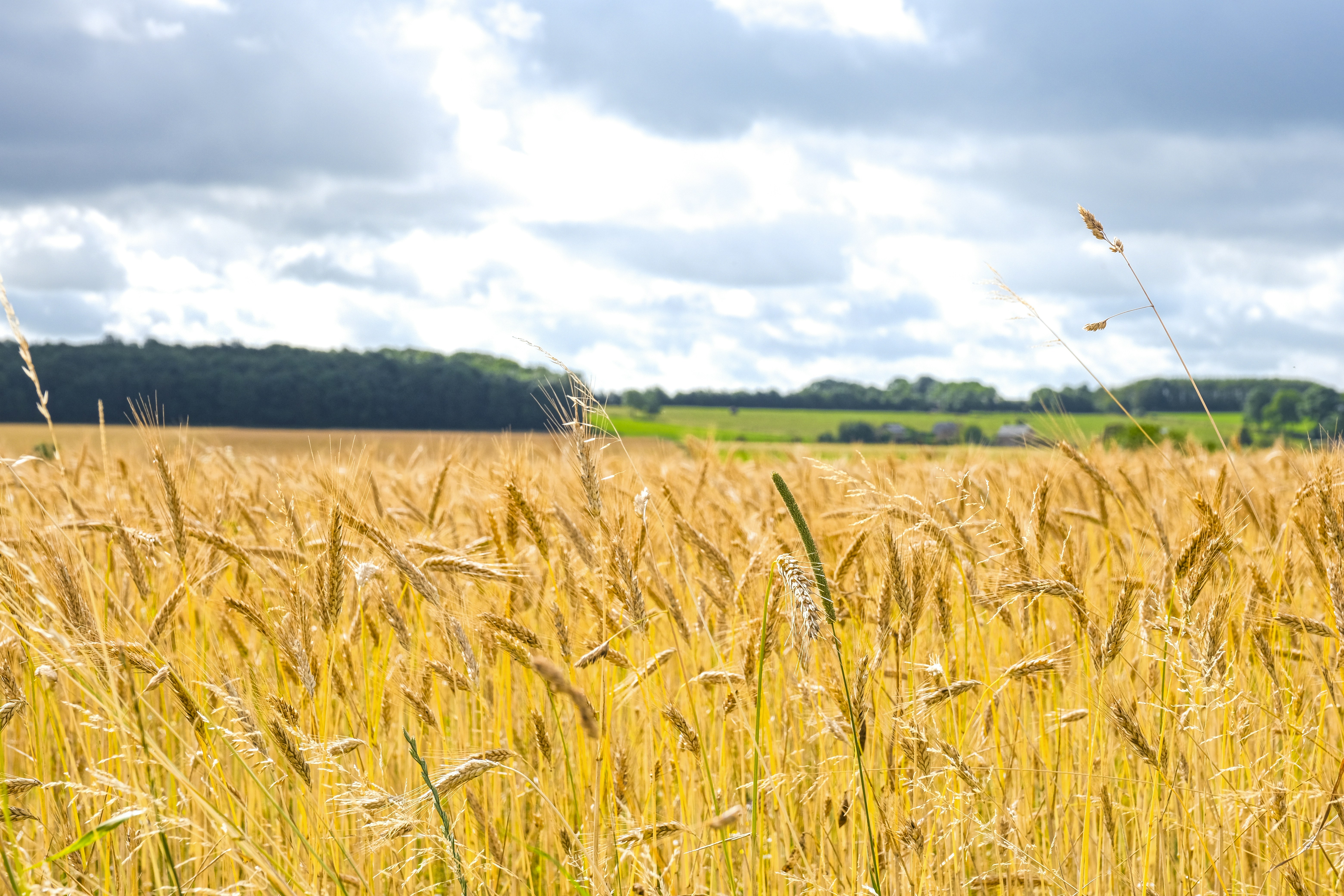 Photo by reseauwallonpac