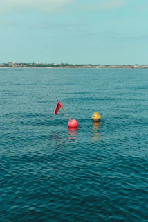 Two buoys floating in the middle of a body of water