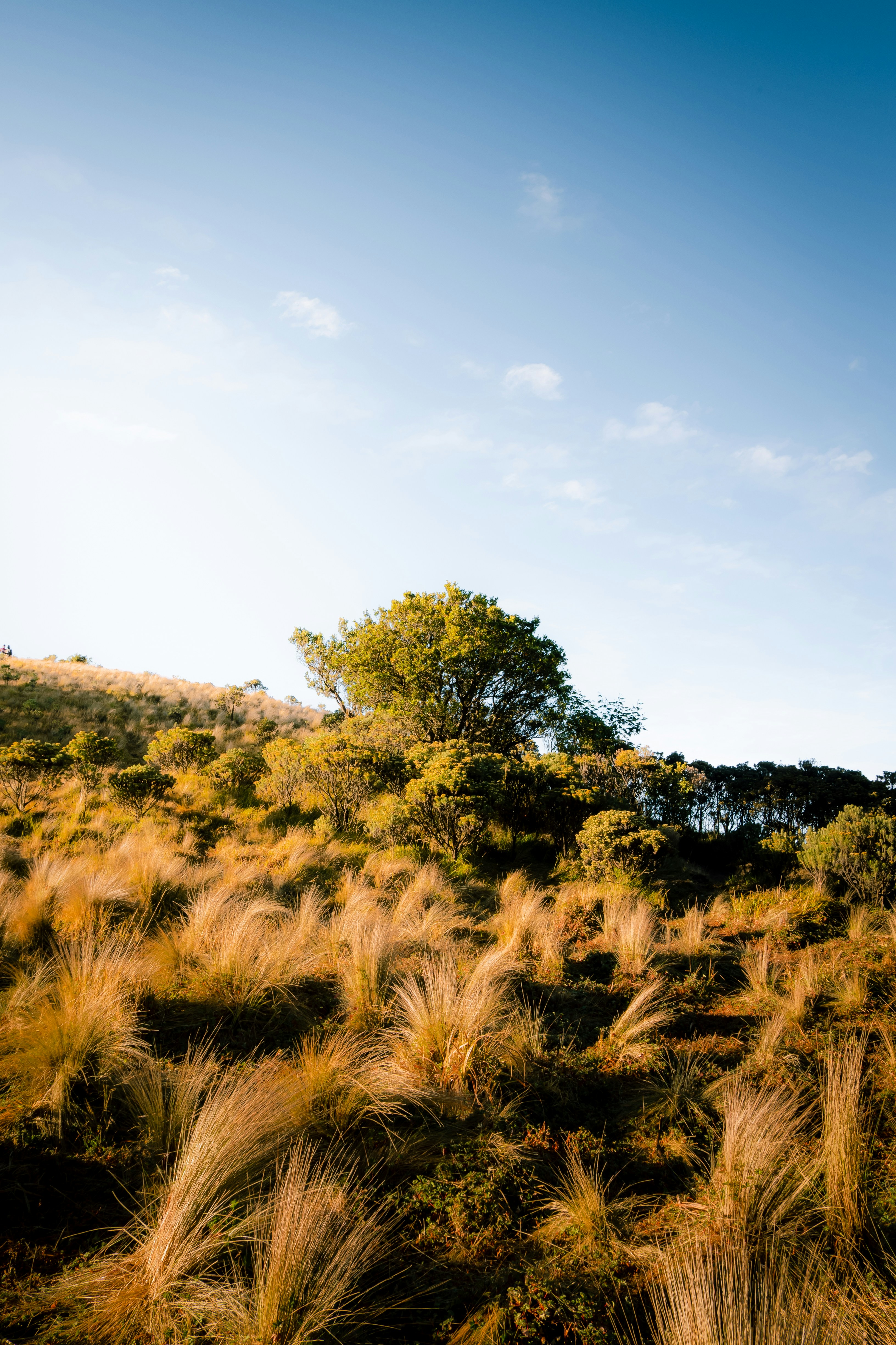 Photo by mhmmdfadiill