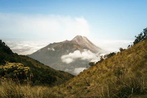 A view of a mountain in the distance