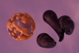 A close up of an orange and a black object