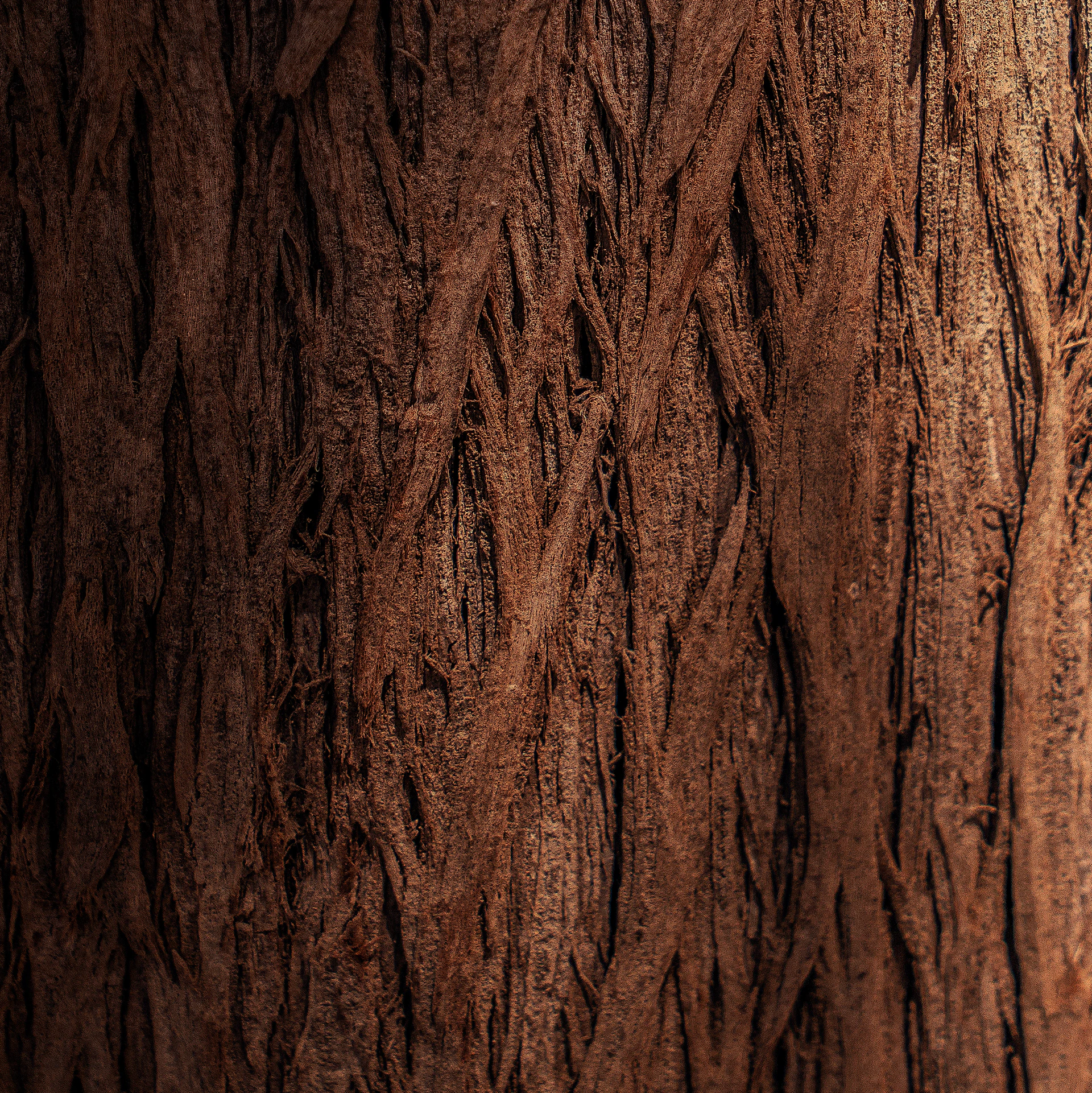 A close up of a wood grain texture