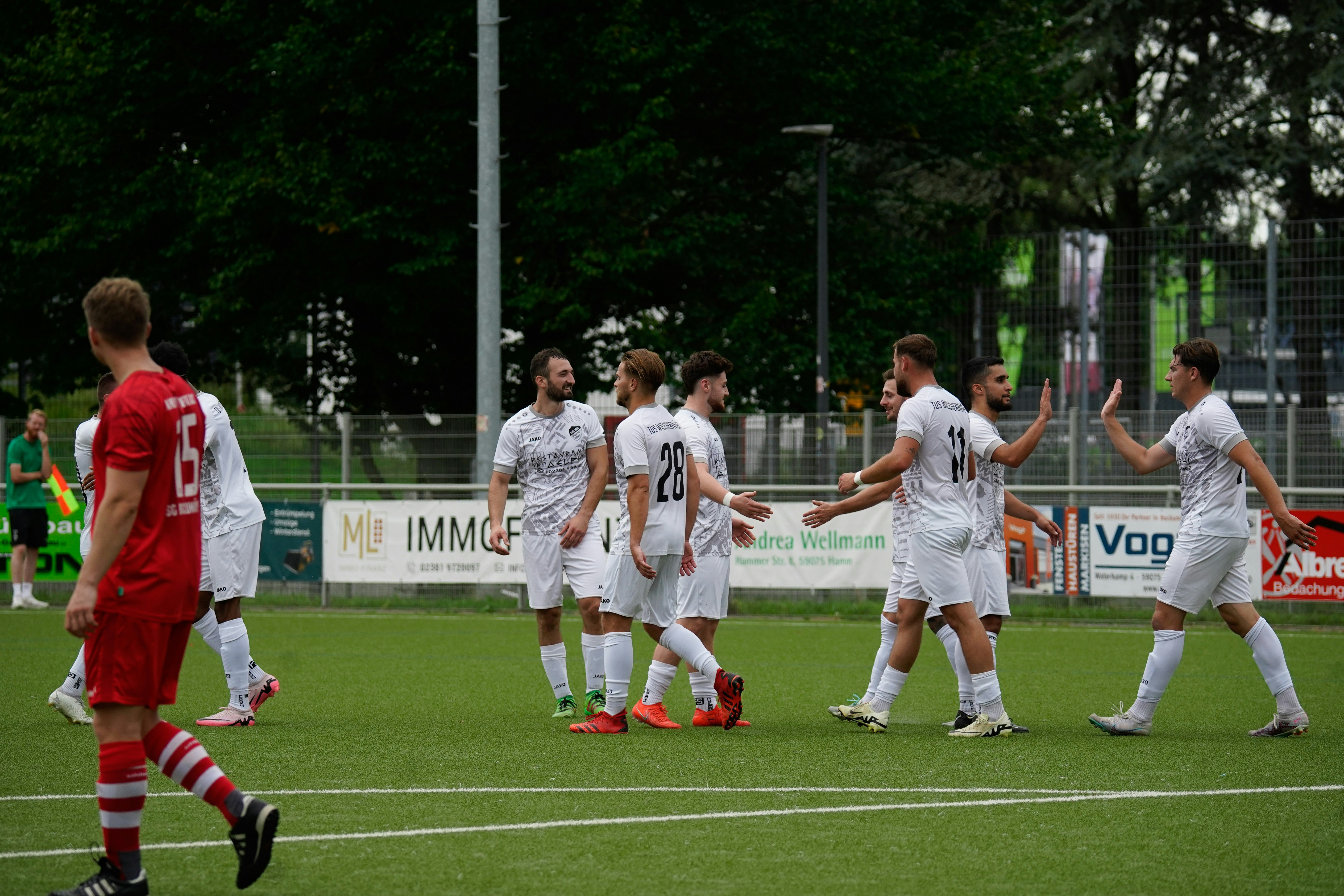 体育场景配图（资料示意）