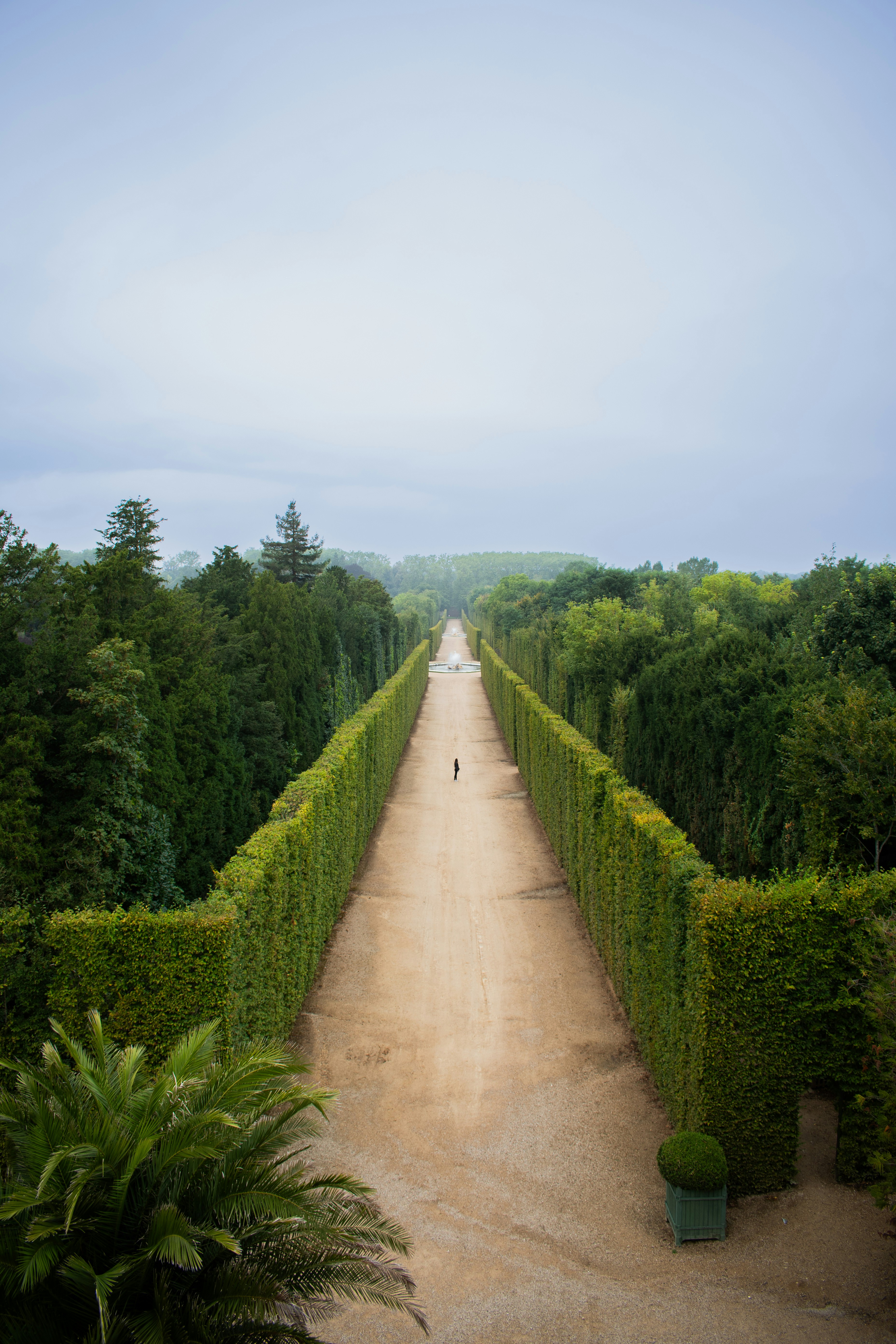 Photo by lukaskonvica