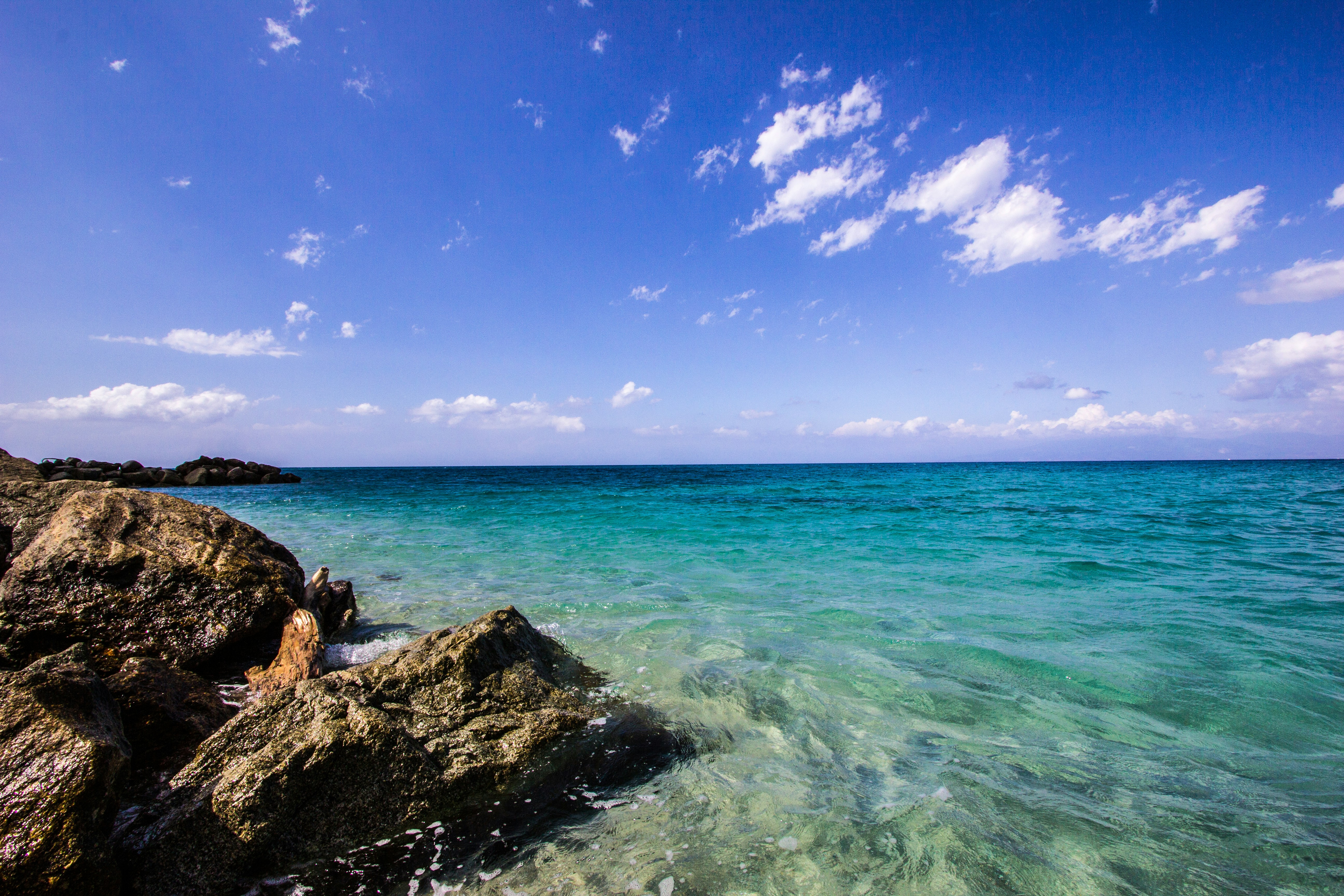 Photo by justmejuliee