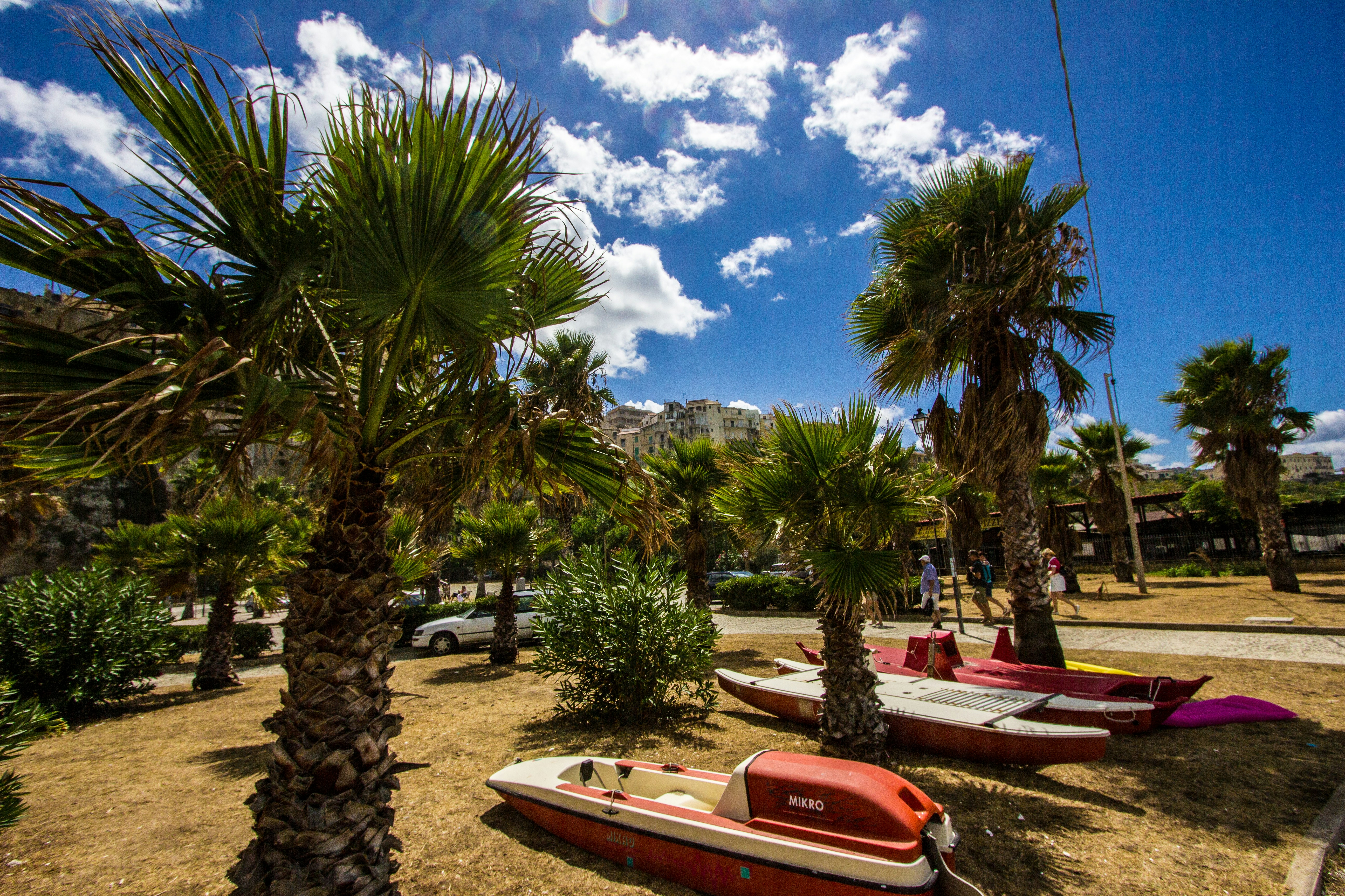 Parque de Palos