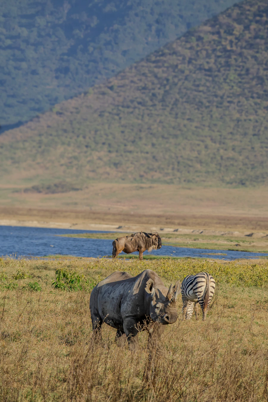 Wildlife beside a crater lake