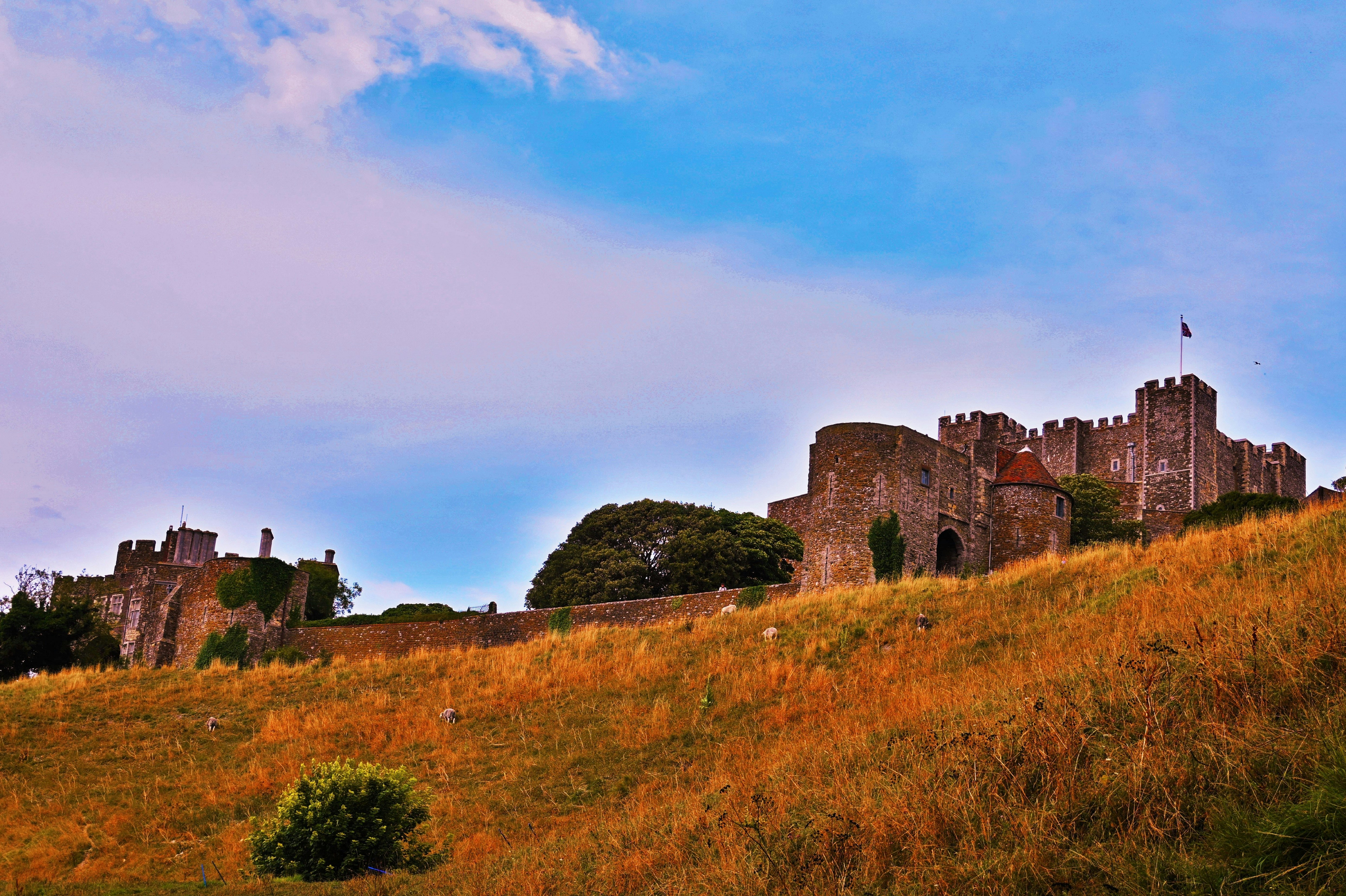 Photo by karolinabobek