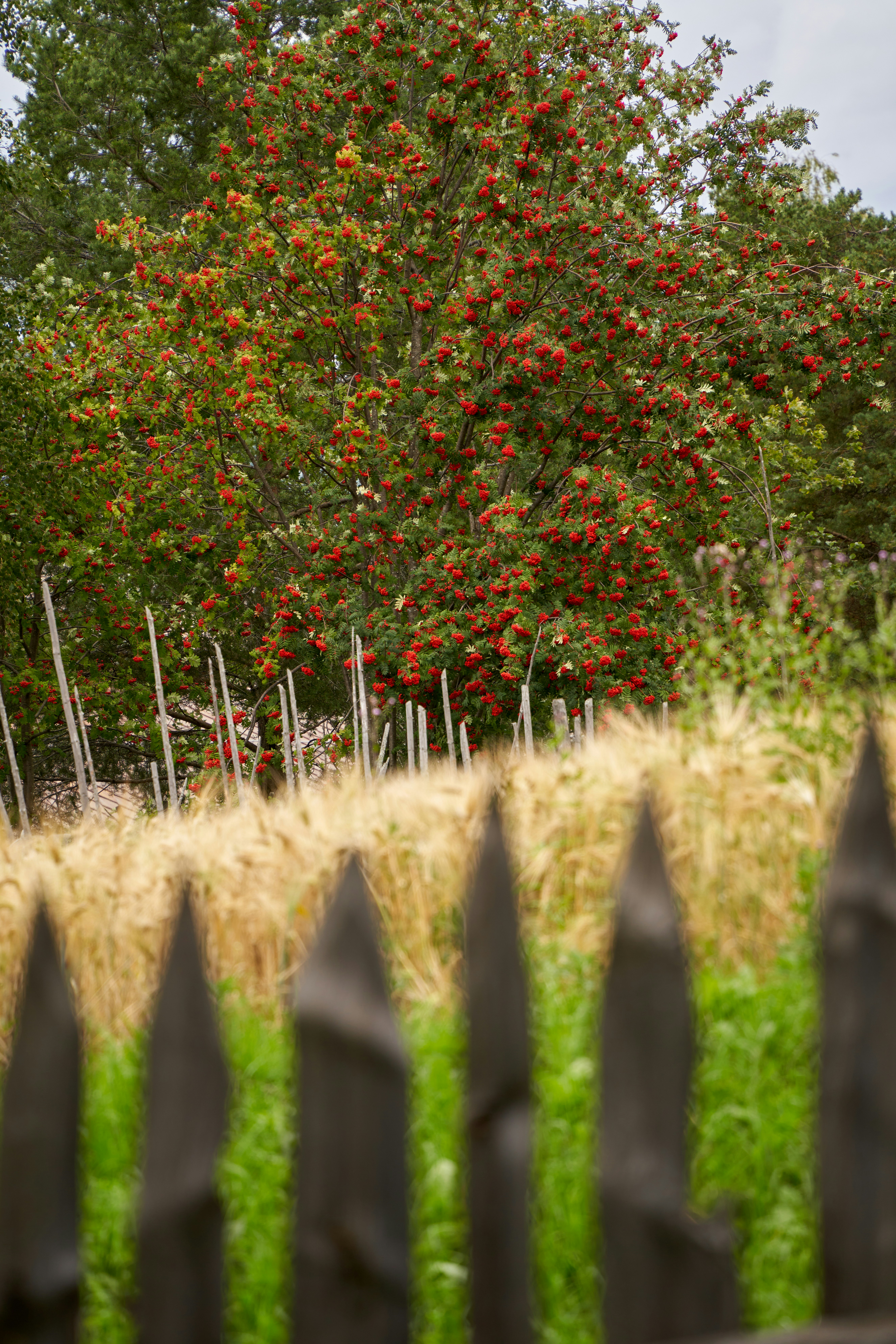 Photo by davotibarna