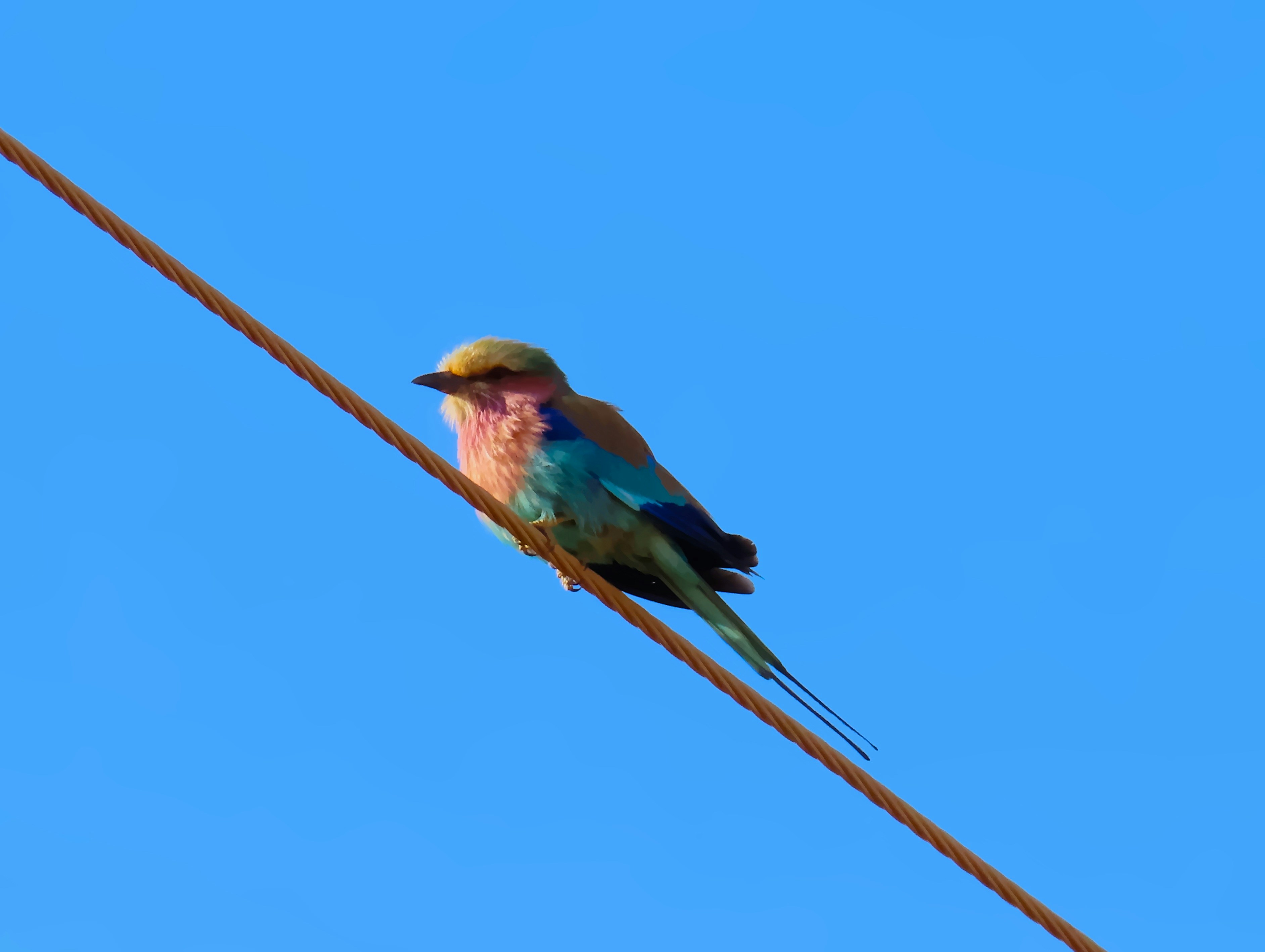 Photo by ja_photography