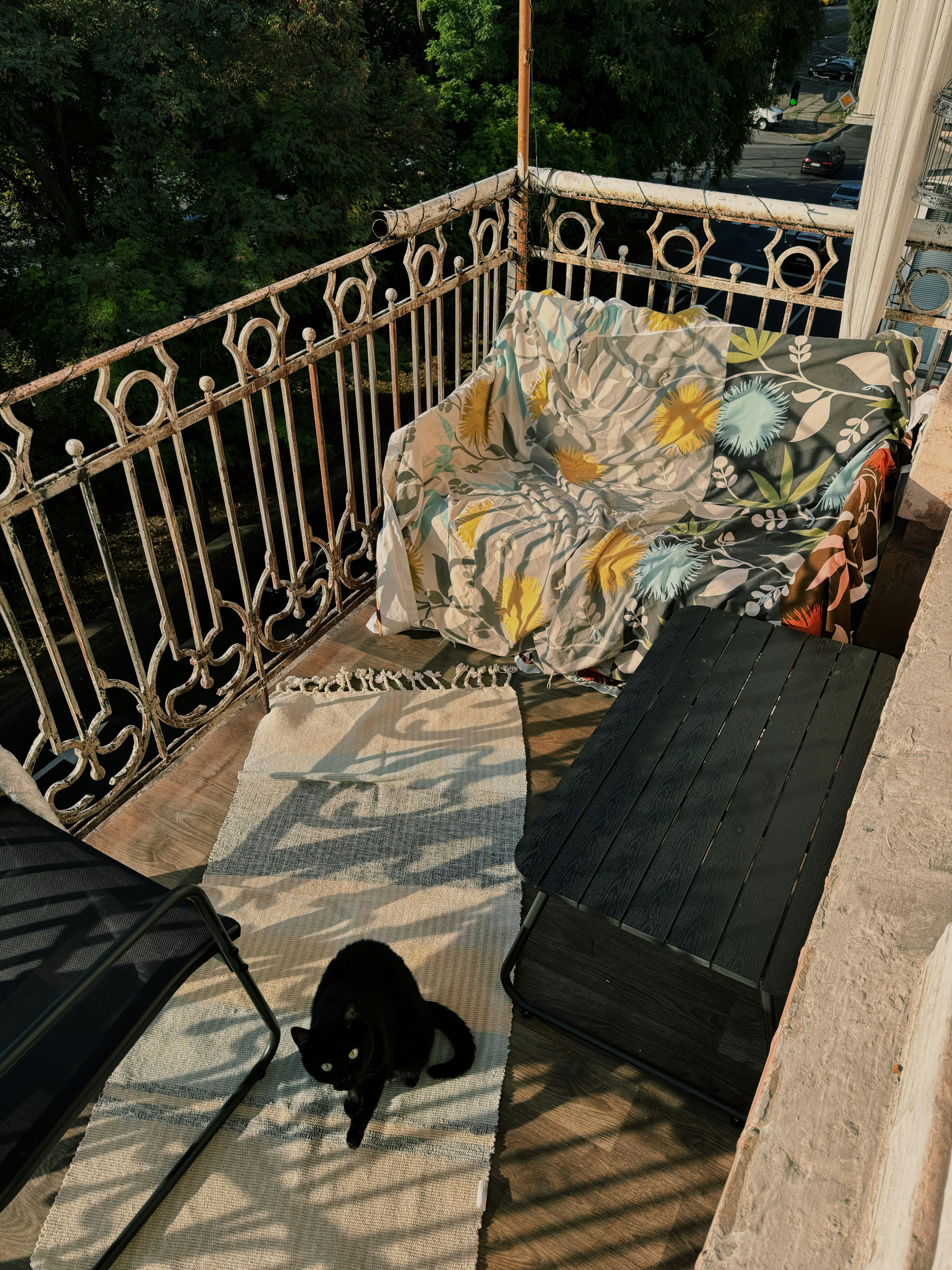 A black cat sitting on top of a wooden deck