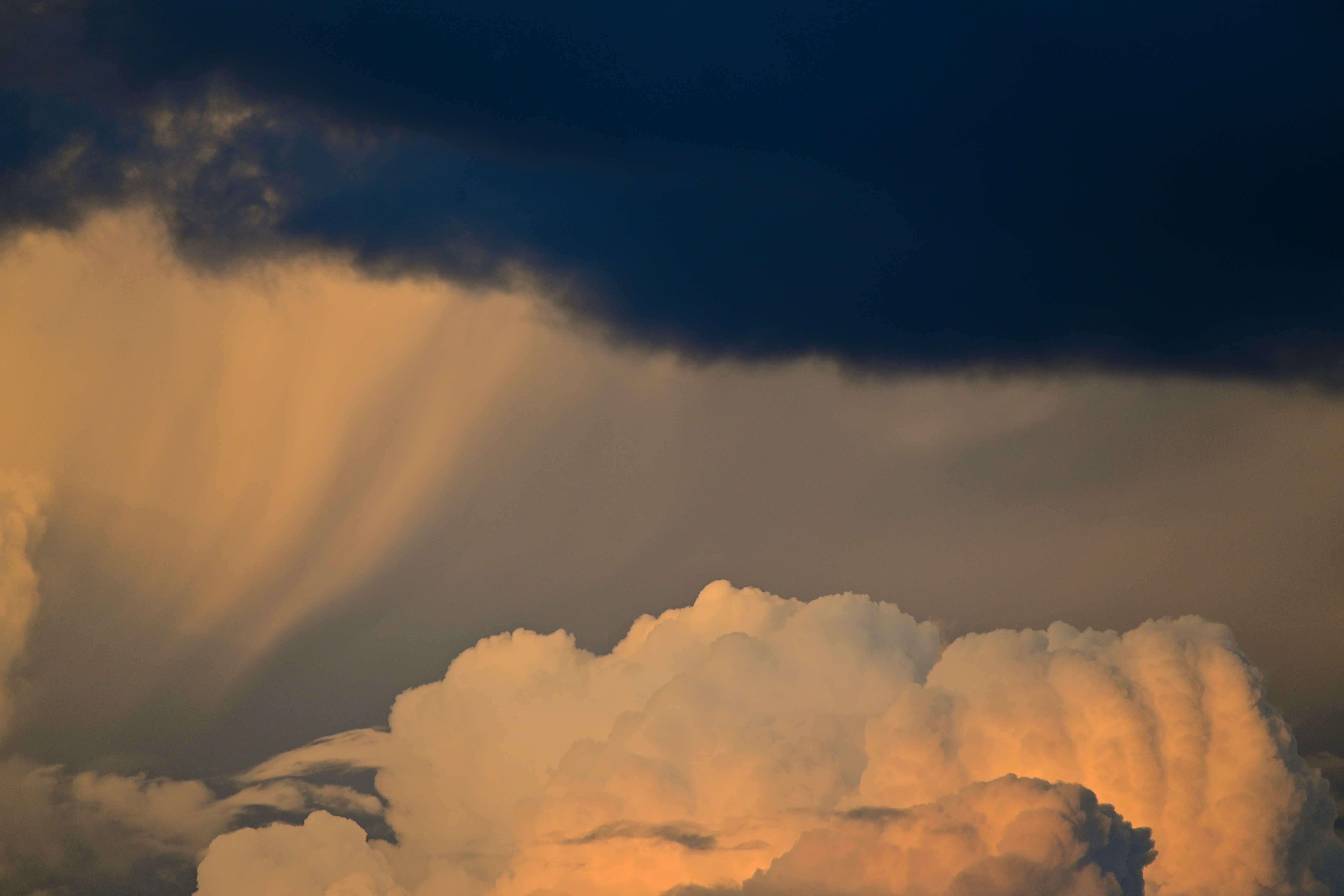 Photo by aminzabardast