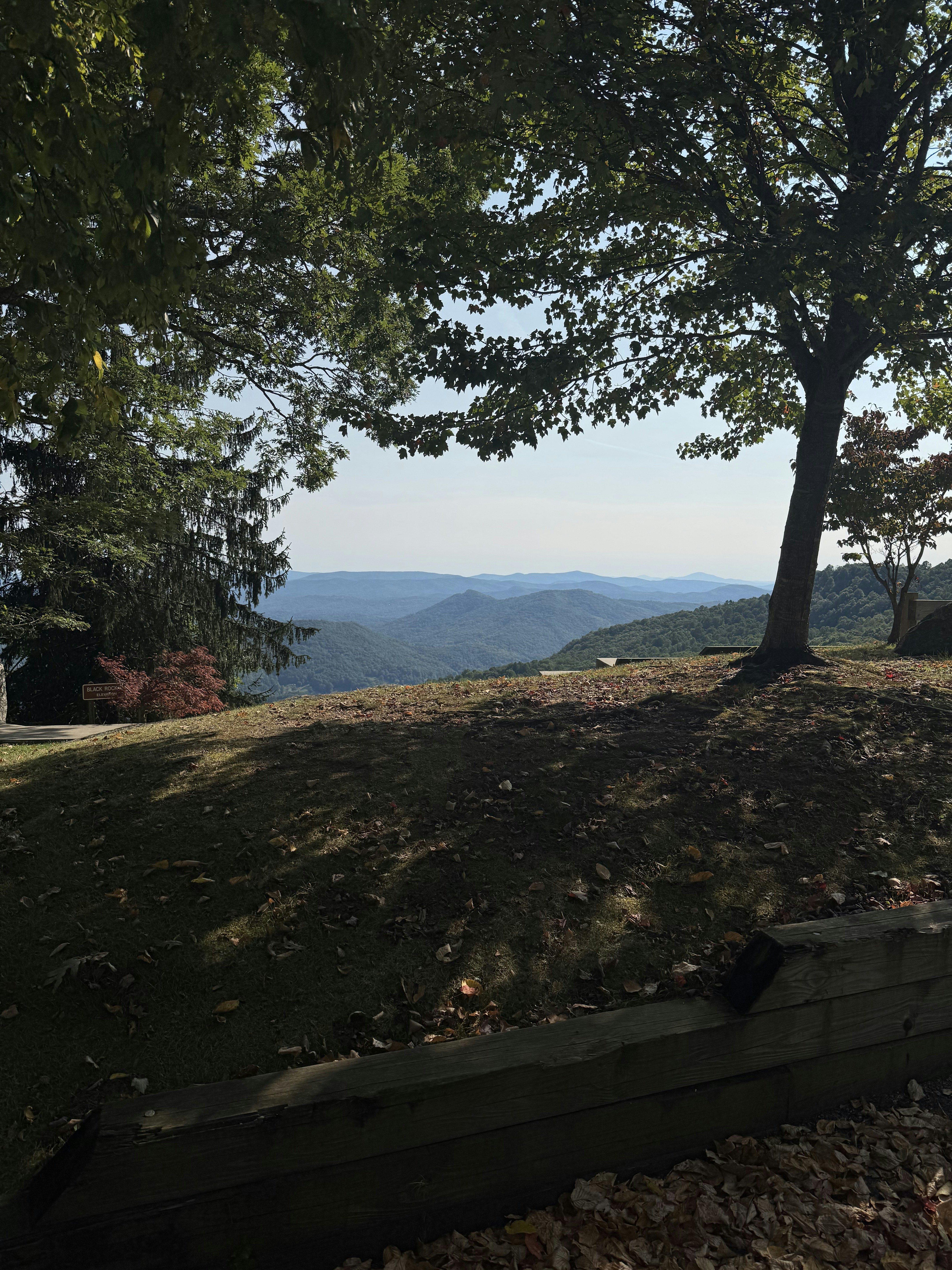 A bench sitting on top of a hill next to a tree
