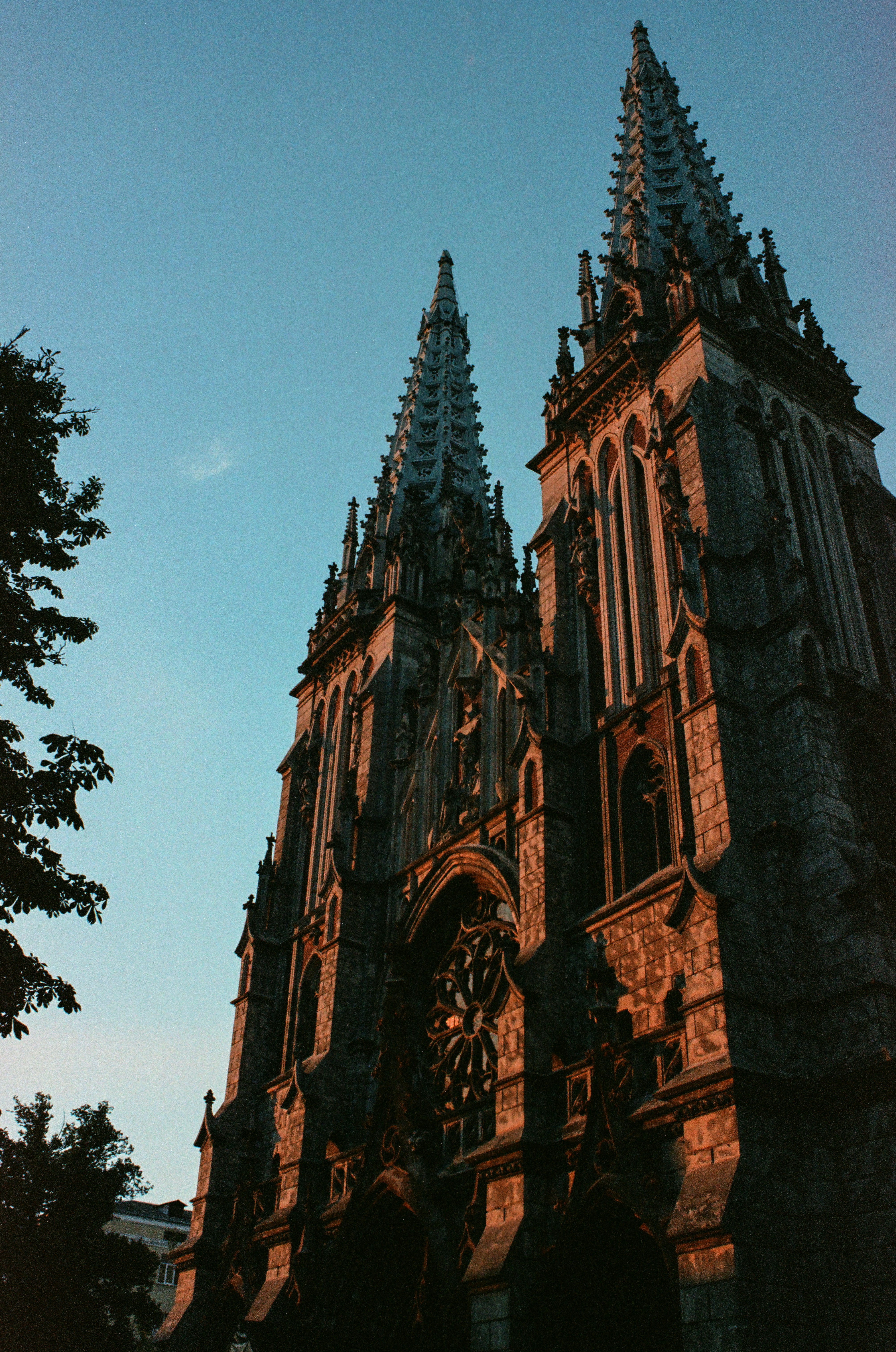 Photo by mineral_of_demon