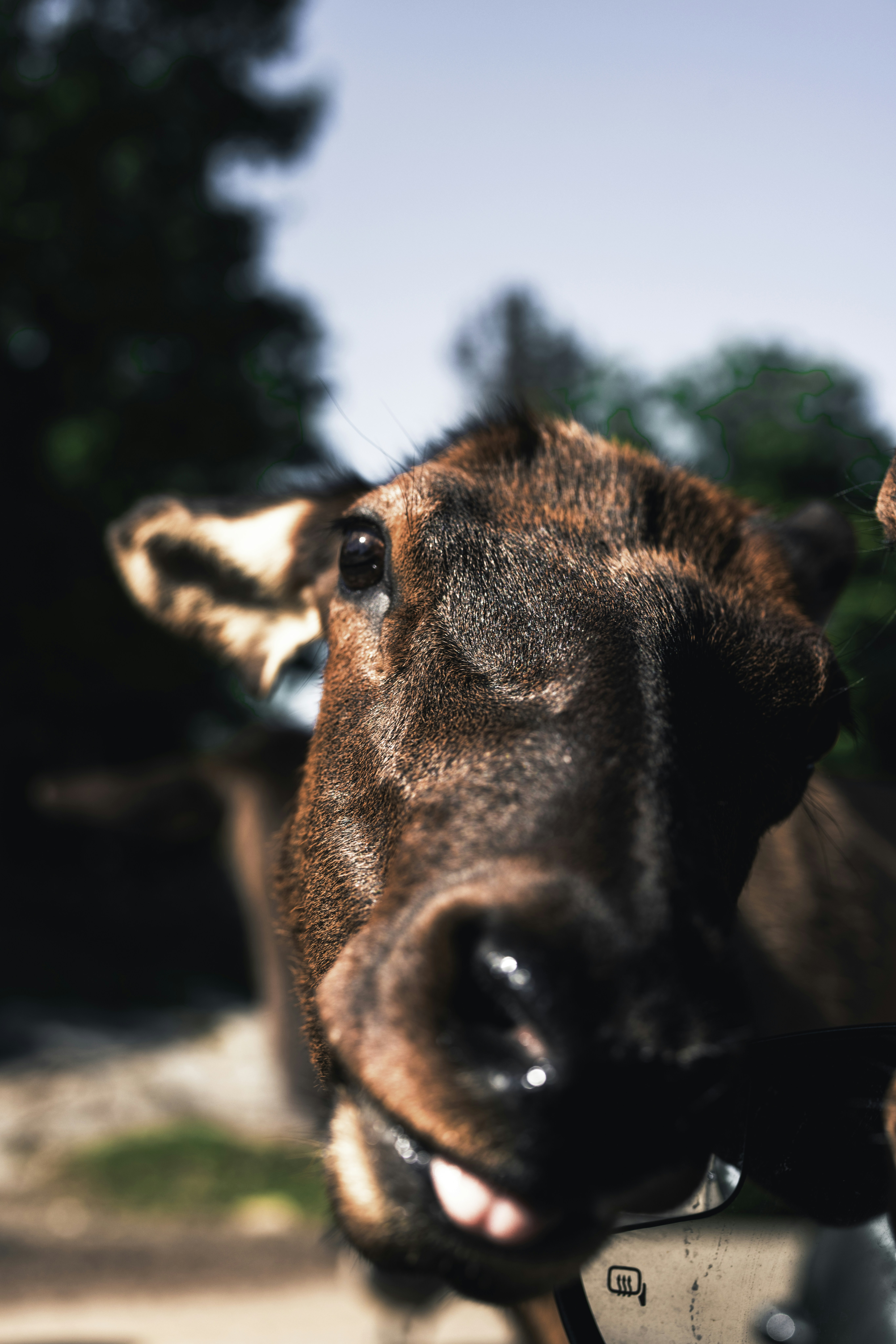 Photo by lureofadventure