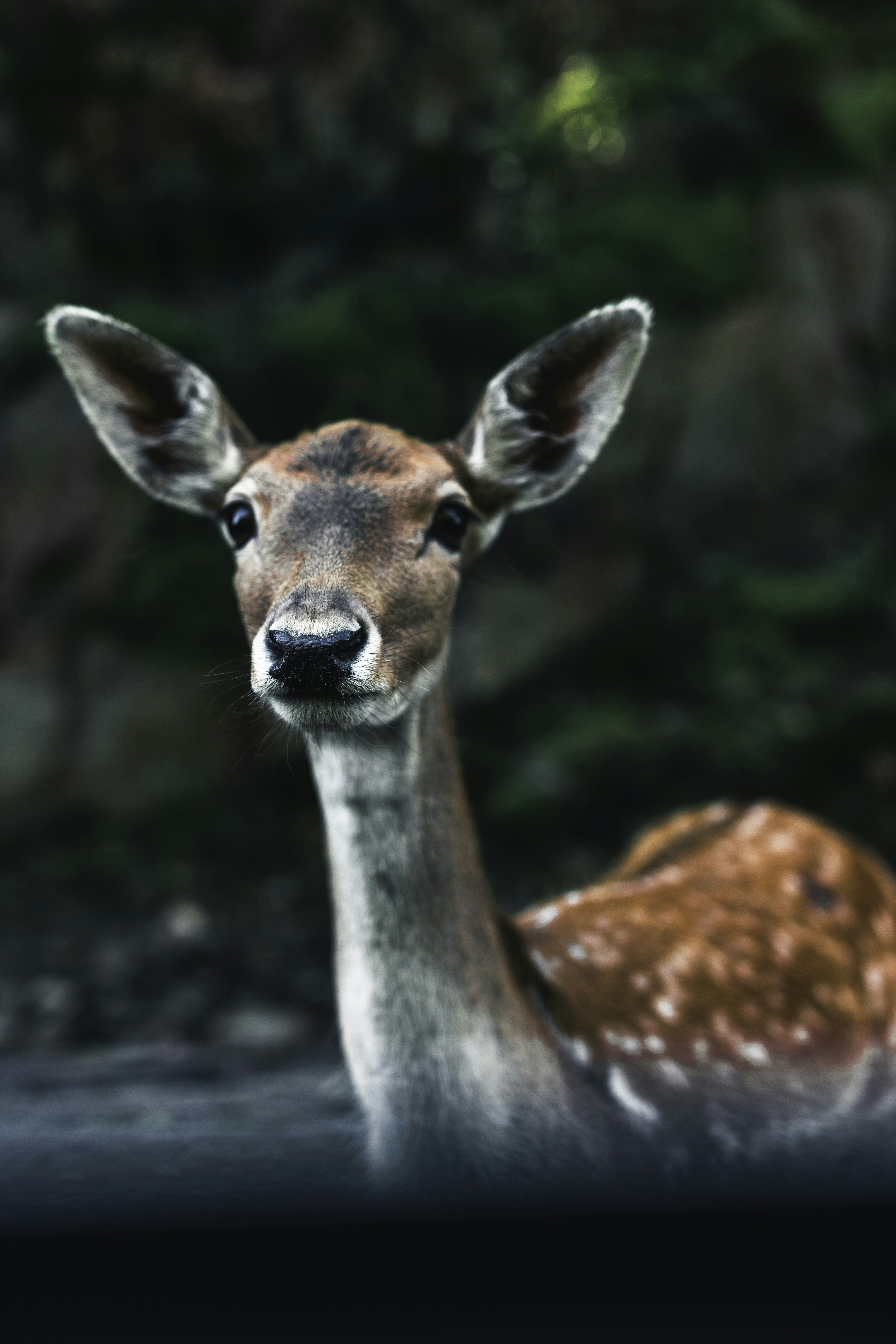 Photo by lureofadventure