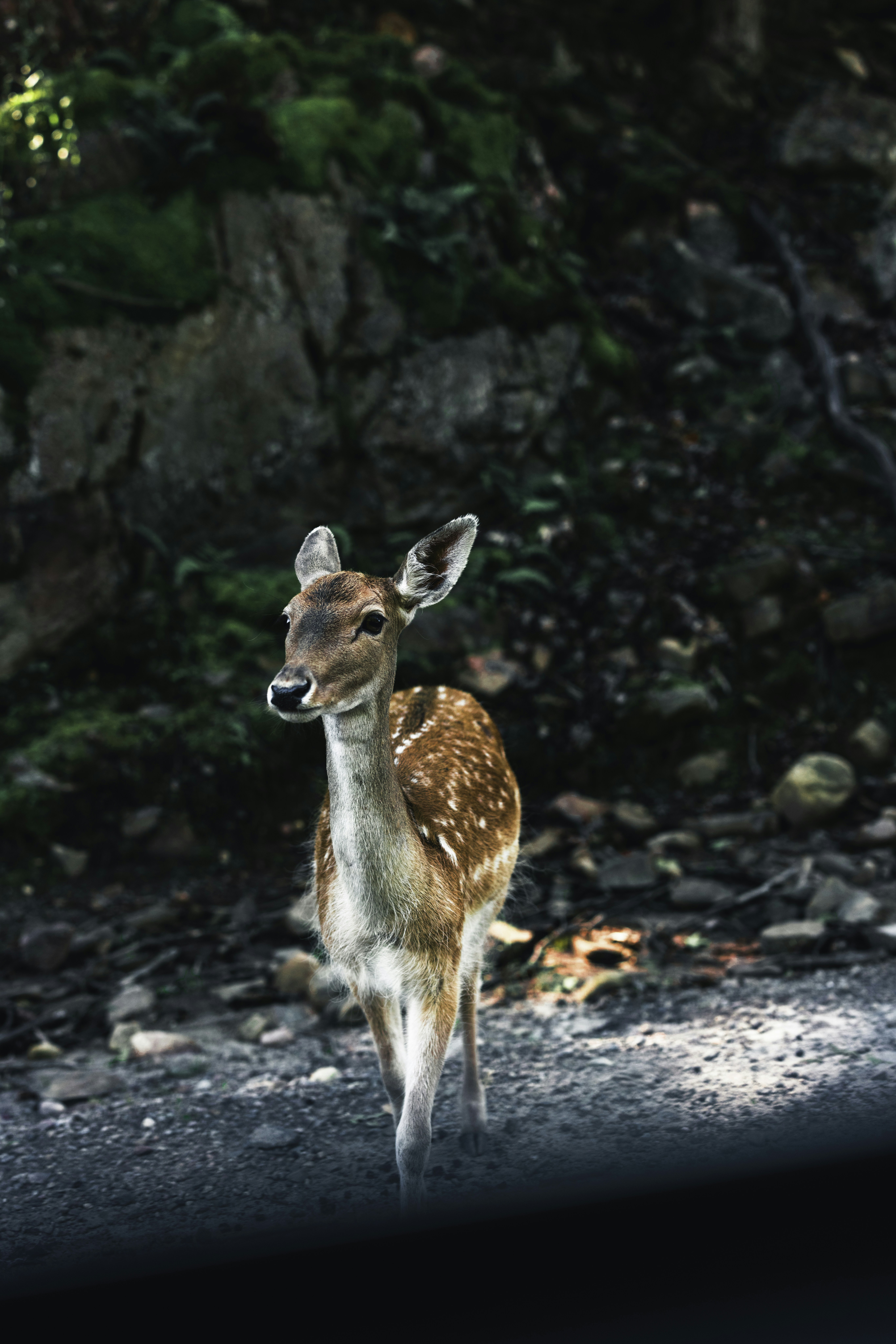 Photo by lureofadventure