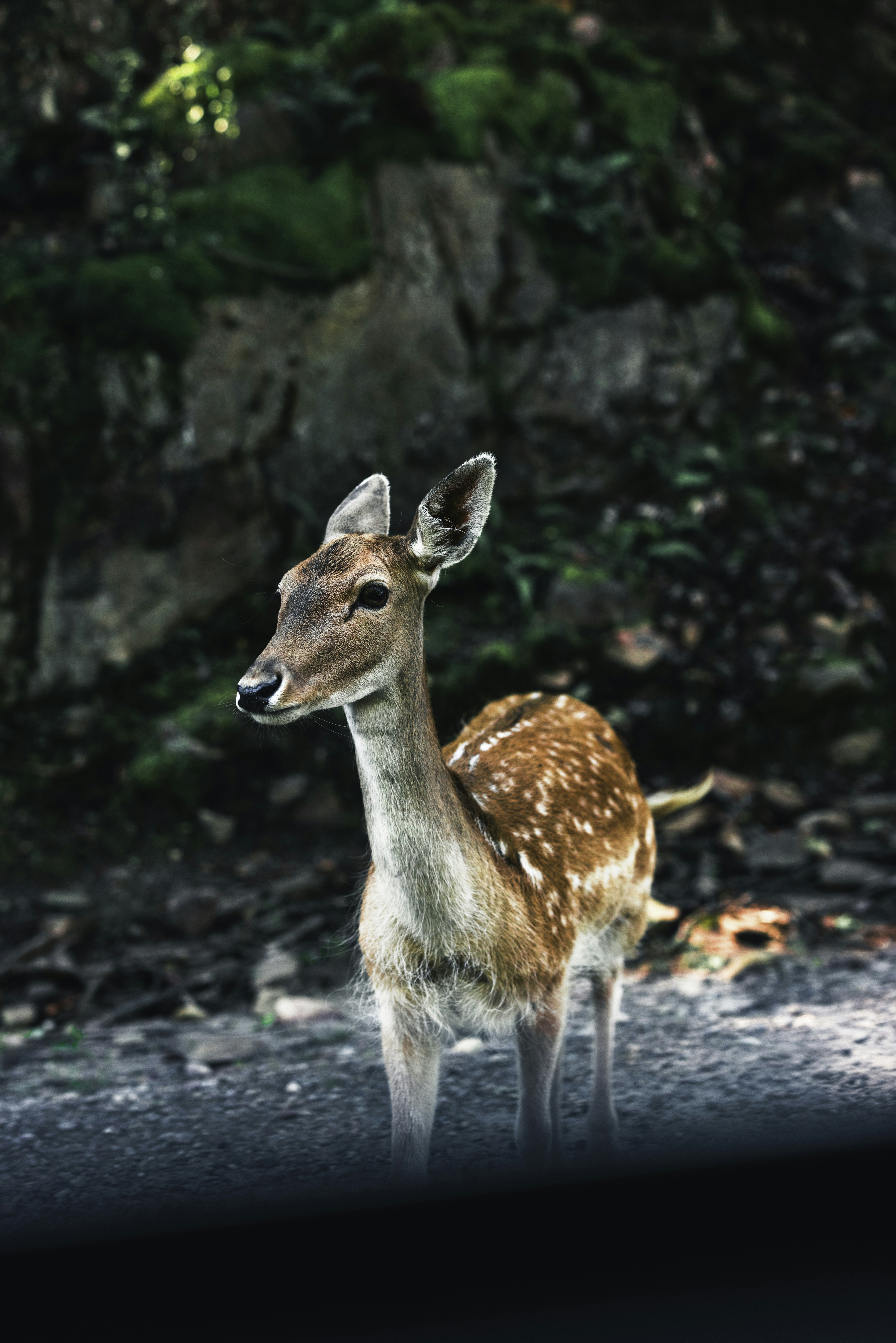 Photo by lureofadventure