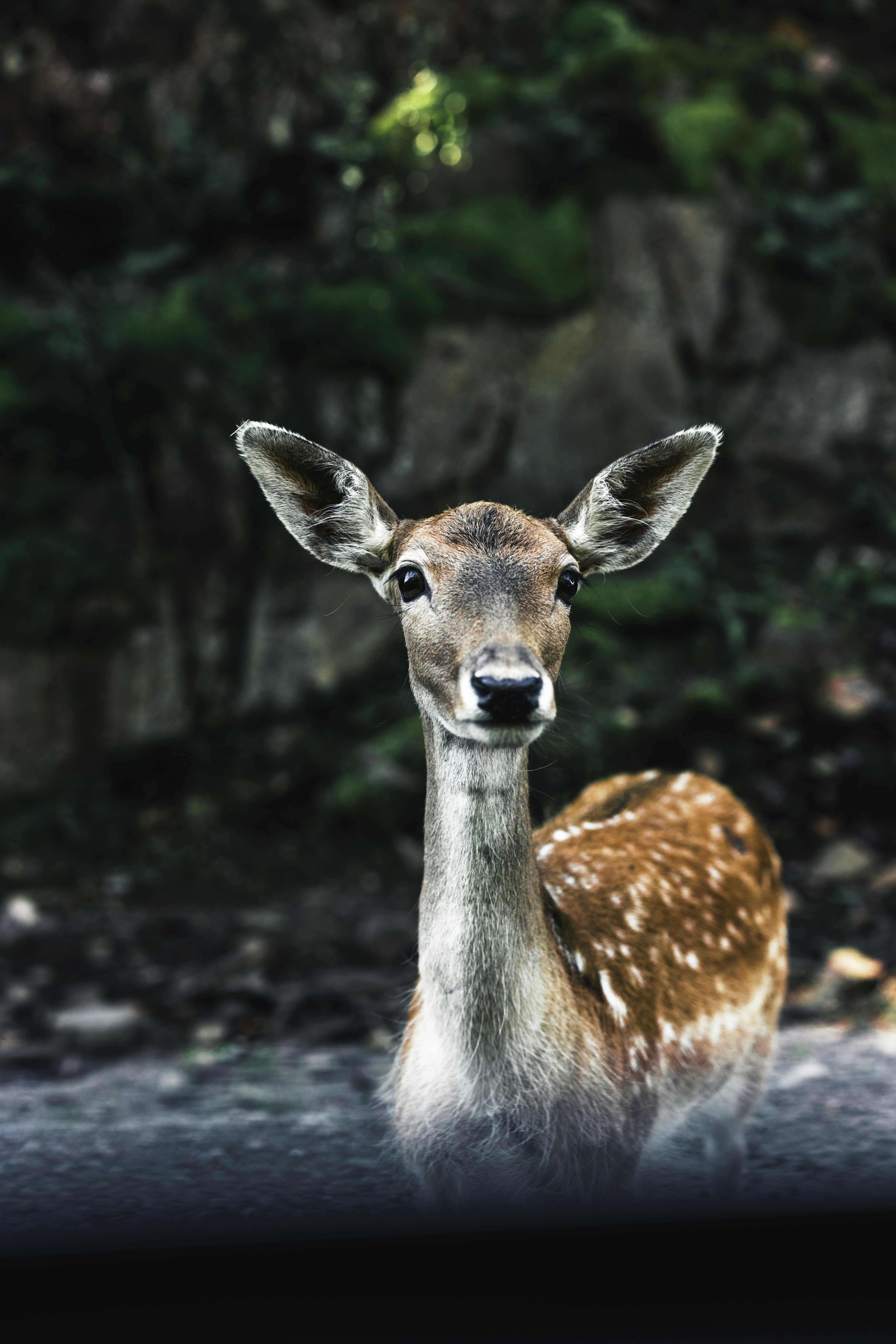 Photo by lureofadventure