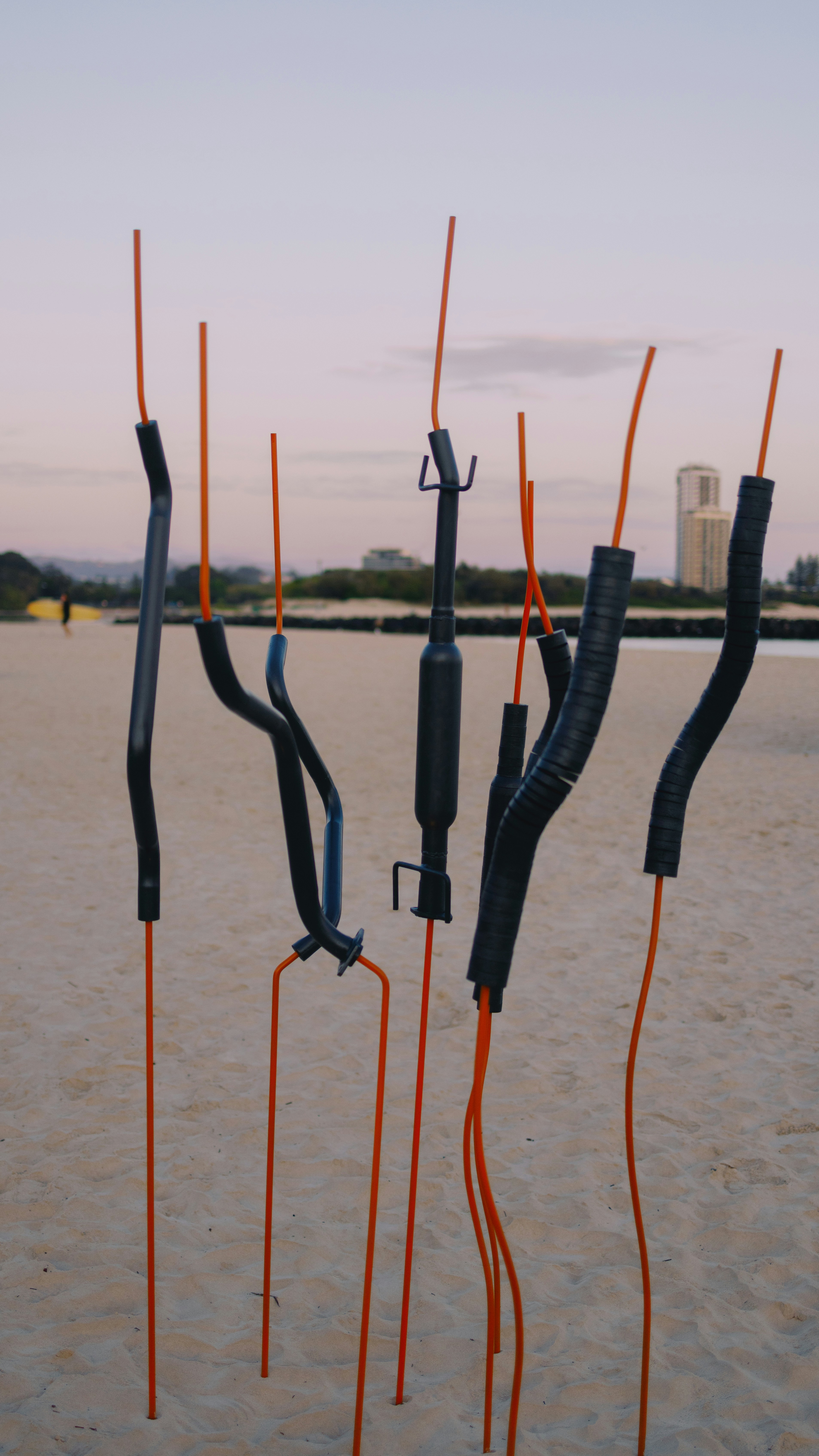 A bunch of sticks sticking out of the sand