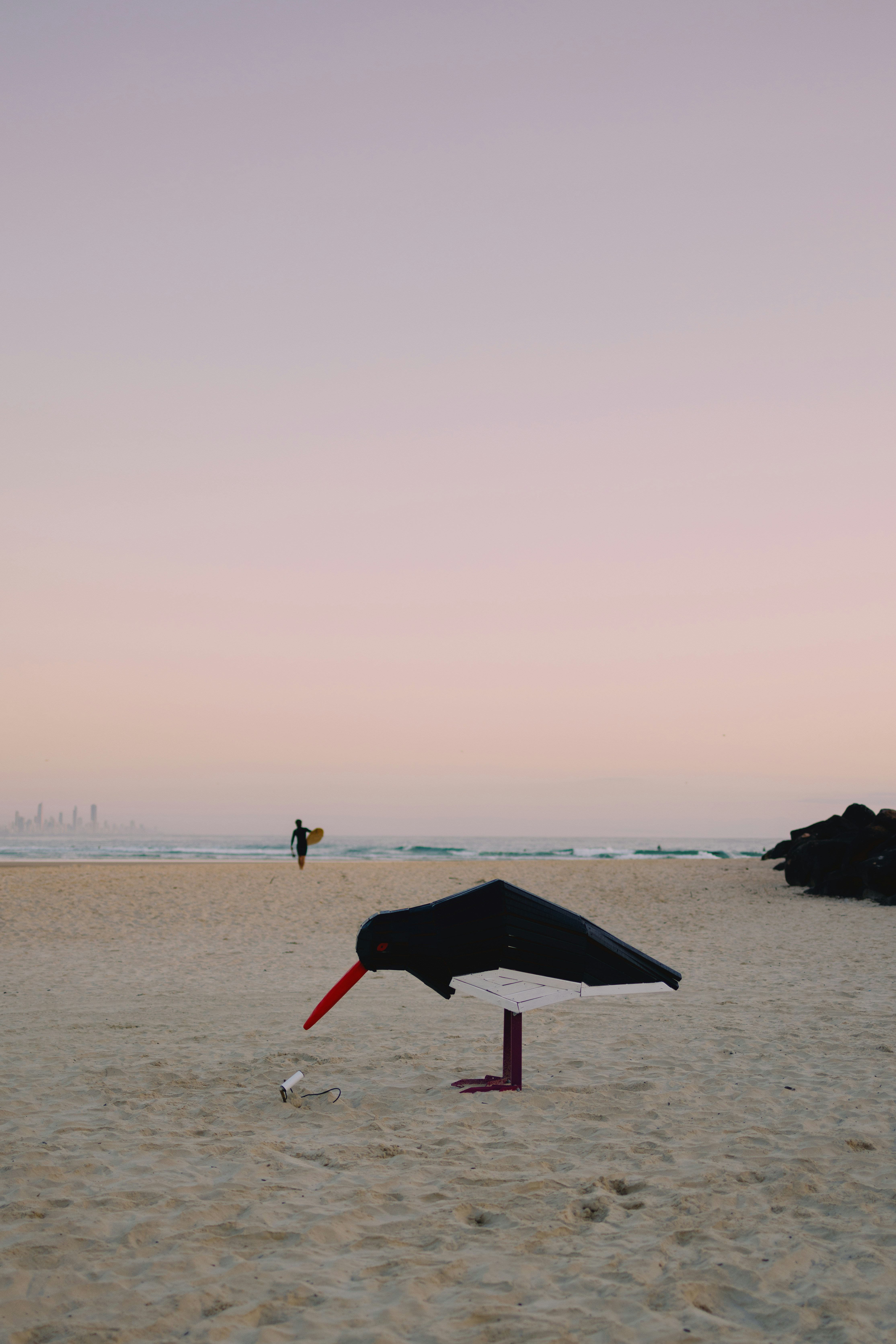 A bird standing on top of a sandy beach