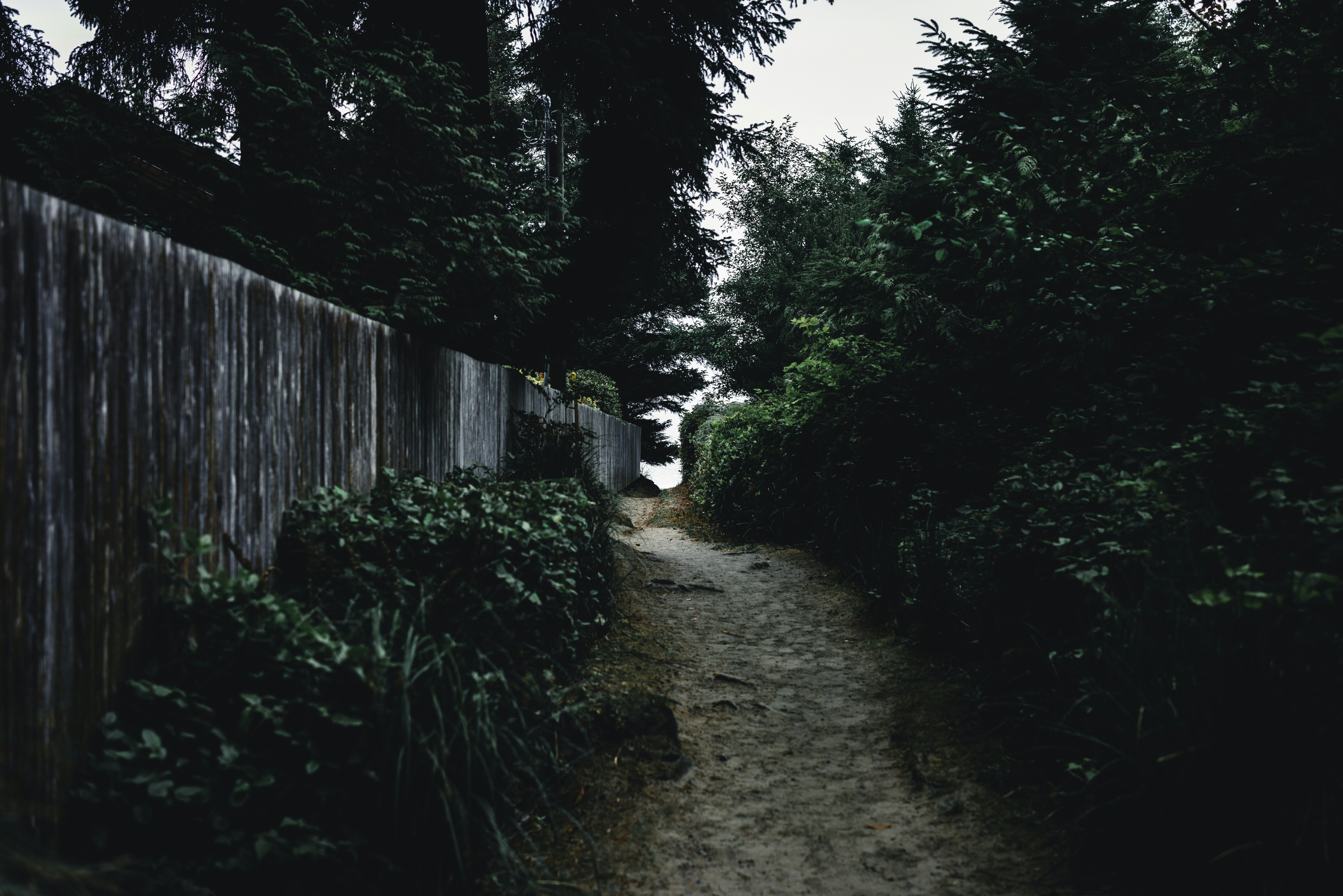 Photo by lureofadventure