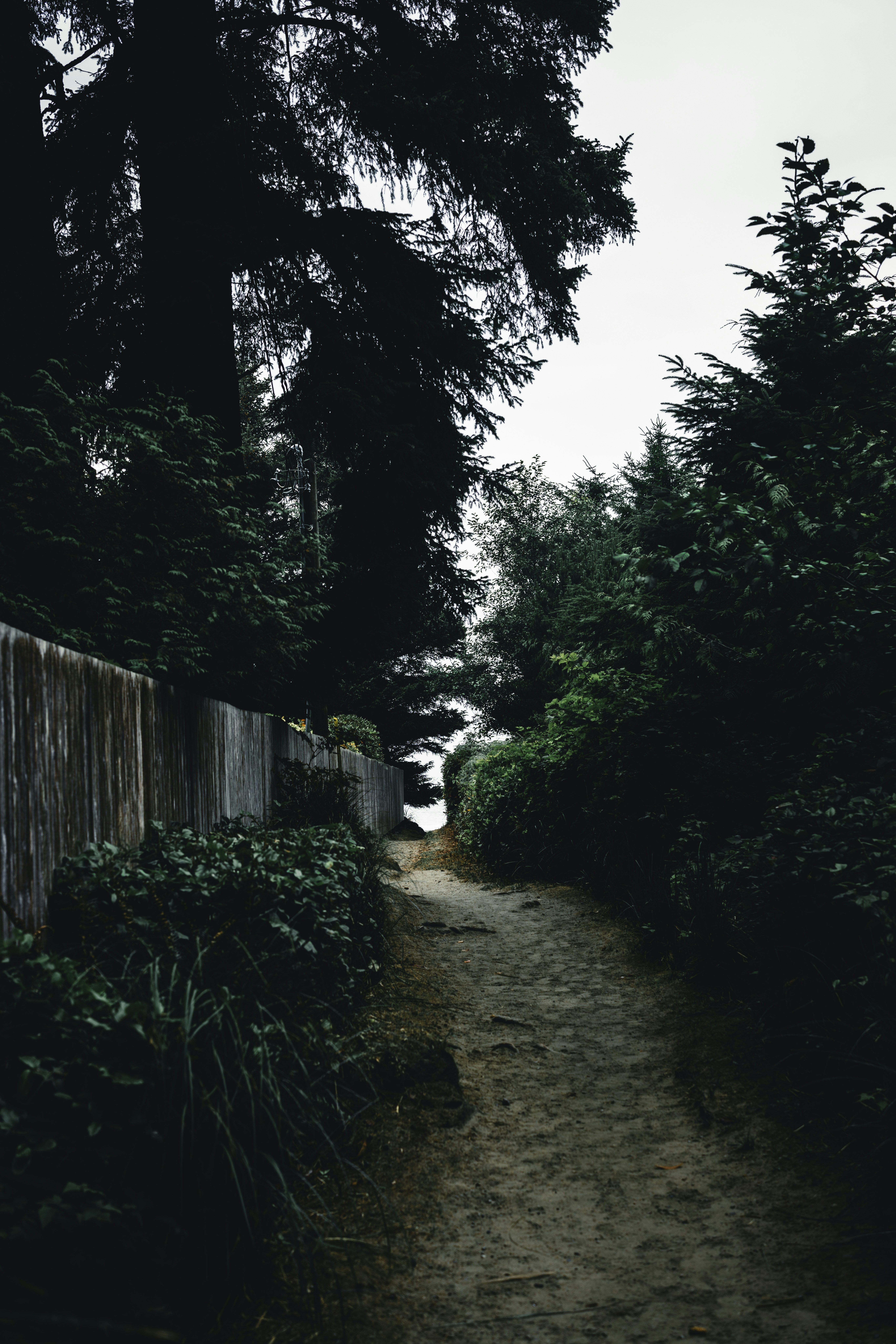 Photo by lureofadventure