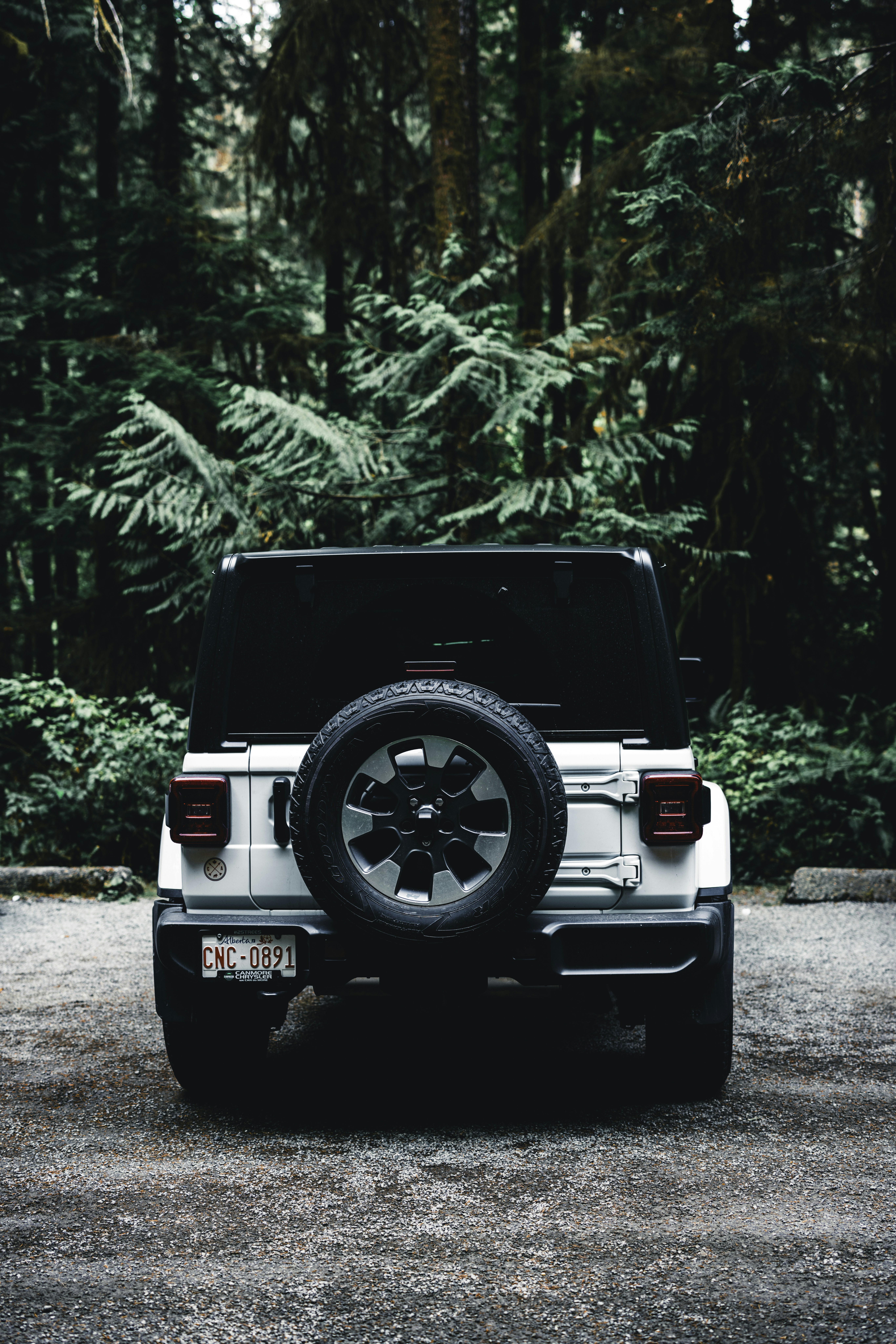 Photo by lureofadventure