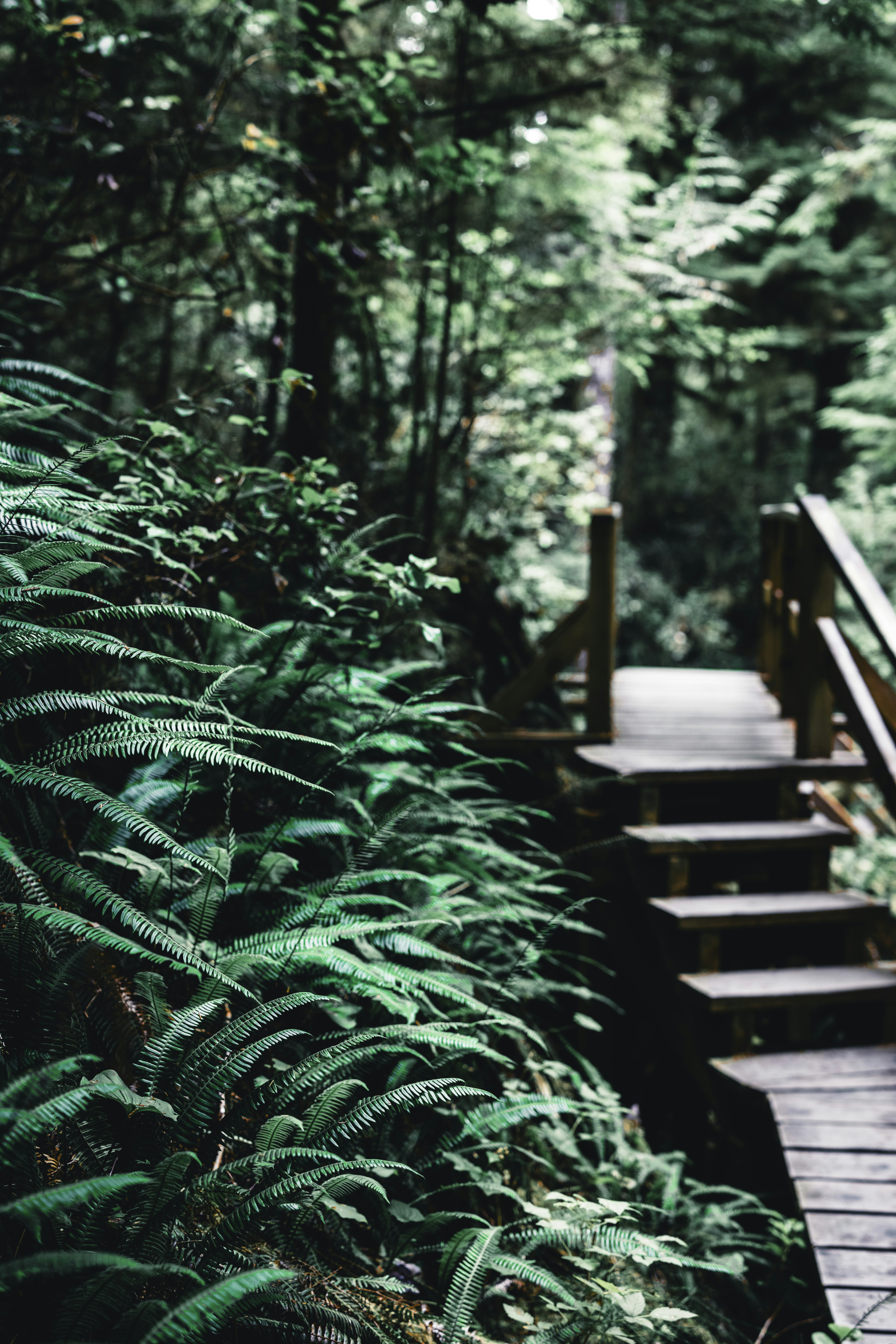 Photo by lureofadventure